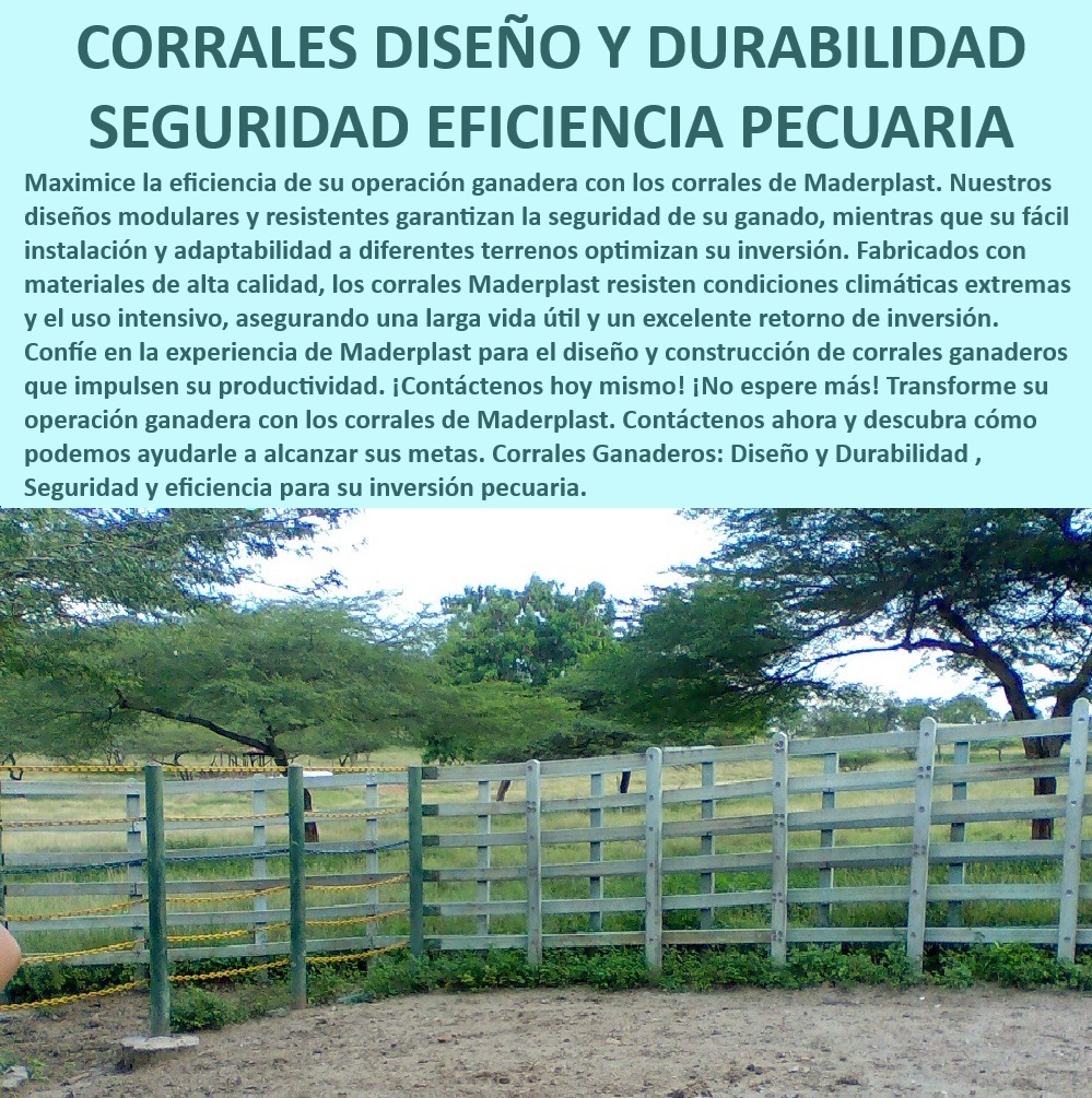 Diseño Ideal Corral Establos modulares Corrales para ganado Maderplast Diseño de corrales resistentes al clima, - Corrales ganaderos de fácil instalación, - Establos ganaderos duraderos y ecológicos, - Corrales para ganado con seguridad mejorada, - Establos ganaderos con resistencia extrema, - Sistemas de estabulación ganadera eficiente, - Corrales redondos para manejo de ganado, - Establos ganaderos con larga vida útil, - Corrales modulares para cualquier terreno, - Corrales plásticos para operación ganadera, - Establos modulares con materiales plásticos, - Corrales tecnificados para ganadería intensiva, - Corrales modulares para ganado eficiente, - Corrales anti corrosión para ganadería, - ¿Cómo mejorar la seguridad en corrales ganaderos?, - ¿Cuál es el mejor corral modular para ganado?, - Instalaciones de corrales a medida, - ¿Qué corrales son más duraderos para ganadería?, - Corrales ganaderos seguros y duraderos, - Establos modulares para manejo ganadero, - Sistemas de corral ganadero adaptables, - ¿Qué corral se adapta a cualquier terreno?, - Sistemas de estabulación ganadera eficientes, - Instalaciones ganaderas a medida, - Diseño avanzado de corrales ganaderos, - Corrales de diseño estético y funcional, - Establos con postes plásticos resistentes, - Corrales que maximizan la inversión ganadera, - Corrales para ganado con alta durabilidad, - ¿Cómo elegir corrales resistentes para ganadería? 0 corrales redondos con postes plásticos Corrales para ganado con barreras de seguridad mejoradas Instalaciones de corrales a medida Corrales estéticamente 0 Diseño Ideal Corral Establos modulares Corrales para ganado Maderplast 0 corrales redondos con postes plásticos , Corrales para ganado con barreras de seguridad mejoradas , Instalaciones de corrales a medida , Corrales estéticamente 0