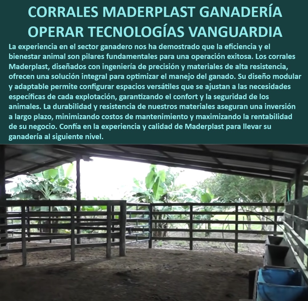 Diseño de Corrales Estabulados Como se Hace un Corral Maderplast Corrales personalizados para explotación ganadera, - ¿Cuáles son las ventajas de los corrales Maderplast para ganadería?, - Corrales de vanguardia para ganado, - Corrales de diseño modular eficiente, - Corrales duraderos y seguros, - Corrales de alta durabilidad para ganado, - Corrales de instalación rápida y sencilla, - Corrales ganaderos Maderplast, - Corrales para optimizar manejo de ganado, - Corrales tecnológicos para ganado, - Corrales de precisión ganadera, - Corrales ganaderos con diseño flexible, - Corrales rentables para ganadería, - Corrales con tecnología avanzada, - Corrales para manejo ganadero profesional, - ¿Qué corrales son los más seguros para manejo de ganado?, - Corrales para instalaciones ganaderas, - Corrales seguros para bienestar animal, - Corrales para maximizar la rentabilidad, - Corrales eficientes para ganadería, - Corrales de alta resistencia, - Corrales ganaderos de bajo mantenimiento, - ¿Cuáles son los mejores corrales para ganadería moderna?, - Corrales innovadores para explotación ganadera, - Corrales ajustables para ganadería, - Corrales para manejo eficiente de ganado, - ¿Qué corrales garantizan durabilidad y eficiencia en ganadería?, - Corrales modulares adaptables, - Corrales resistentes a largo plazo, - ¿Cómo instalar corrales modulares para ganado rápidamente? 0 Establos automatizados Sistemas de estabulación para ganado con bioarquitectura Establos para bovinos Corrales para animales bovinos con diseño bioclimático 0 Diseño de Corrales Estabulados Como se Hace un Corral Maderplast 0 Establos automatizados, , Sistemas de estabulación para ganado con bioarquitectura, , Establos para bovinos, , Corrales para animales bovinos con diseño bioclimático 0