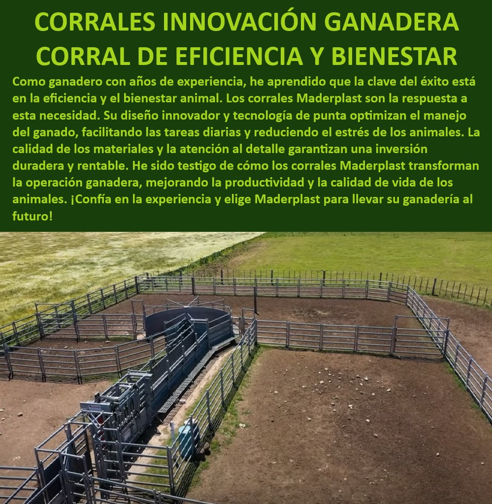 Diseño de Corrales Modelos de Corrales Como se Hace un Corral Eficiente Maderplast Diseño de corrales con enfoque en innovación, - Corrales con enfoque en reducción de costos, - Corrales innovadores para bienestar animal, - Establos tecnológicos para ganadería moderna, - ¿Cuál es el mejor diseño de corral automatizado para ganado?, - Corrales para vacas lecheras de alto rendimiento, - Corrales ganaderos con diseño eficiente, - Corrales eficientes para maximizar productividad, - Corrales ganaderos con automatización avanzada, - Instalación de corrales ganaderos tecnificados, - Establos automatizados para manejo profesional, - Corrales con tecnología para manejo eficiente, - ¿Cómo mejorar la productividad ganadera con tecnología automatizada?, - Establos con sistemas automatizados de alimentación, - Corrales eficientes con tecnología avanzada, - ¿Qué corrales son recomendados para optimizar el manejo ganadero?, - Corrales modernos para ganadería de precisión, - Sistemas avanzados para establos ganaderos, - Establos tecnificados para maximizar eficiencia, - Establos con tecnología de automatización, - Modelos de corrales de alta eficiencia ganadera, - ¿Qué modelo de corral es más eficiente para vacas lecheras?, - Innovación en manejo de ganado lechero, - Diseño de corrales con optimización de manejo, - Establos automatizados con alimentación integrada, - ¿Dónde encontrar corrales con tecnología avanzada para ganadería?, - Soluciones en estabulación tecnificada, - Diseño de corrales automatizados para ganado, - Soluciones innovadoras para establos ganaderos, - Corrales para optimización de producción ganadera 0 Establos automatizados para ganado con alimentación automatizada Innovación en manejo de ganado Diseño de corrales vacas lecheras con Establos Diseño de Corrales Modelos de Corrales Como se Hace un Corral Eficiente Maderplast 0 Establos automatizados para ganado con alimentación automatizada, , Innovación en manejo de ganado, , Diseño de corrales vacas lecheras con Establos