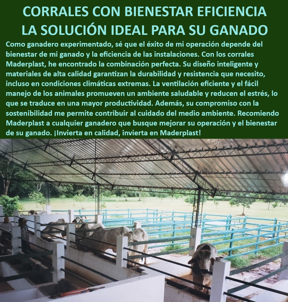 Diseño de Corrales Semi Estabulados Como se Hace un Corral Maderplast Establos ganaderos reciclables y duraderos, - Establos ganaderos con sistemas de ventilación avanzados, - Corrales ganaderos eficientes para pastoreo restringido, - Establos con ventilación natural para ganado, - Corrales ganaderos adaptables a climas extremos, - Corrales ganaderos duraderos y sin mantenimiento, - Corrales de pastoreo restringido para bovinos, - Corrales reciclables y sostenibles Maderplast, - ¿Cómo elegir un corral ganadero reciclable y duradero?, - Establos para ganado adaptables a cualquier clima, - Diseño de establos ganaderos con ventilación eficiente, - Corrales ganaderos con diseño modular reciclable, - Establos para bovinos con ventilación mejorada, - Corrales reciclables para ganadería sostenible, - Corrales semi-estabulados con ventilación eficiente, - Corrales intensivos para manejo de ganado, - Establos con sistemas de ventilación para ganado, - Corrales semi-estabulados para bovinos, - Corrales con manejo eficiente de ganado Maderplast, - Diseño de corrales semi-estabulados Maderplast, - ¿Qué corrales ganaderos ofrecen manejo eficiente del rebaño?, - ¿Dónde comprar corrales intensivos para ganadería sostenible?, - Corrales intensivos para ganadería moderna, - Corrales para ganadería intensiva sin mantenimiento, - Corrales ganaderos reciclables y sostenibles, - ¿Cuál es el mejor corral semi-estabulado para ganado?, - Establos ganaderos con manejo eficiente del rebaño, - Establos para ganado con sistemas de ventilación, - ¿Qué establos ganaderos tienen mejor ventilación?, - Corrales de pastoreo restringido y eficiente 0 Corrales de pastoreo restringido Establos para bovinos Establos con sistemas de ventilación Corrales reciclables Corrales intensivos Establos ganados Diseño de Corrales Semi Estabulados Como se Hace un Corral Maderplast 0 Corrales de pastoreo restringido, , Establos para bovinos, , Establos con sistemas de ventilación, , Corrales reciclables, , Corrales intensivos, Establos ganados