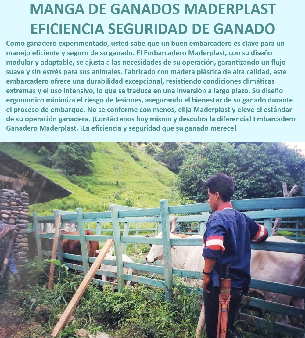 Embarcadero Móvil Modular Fijo Embarcadero Portátil de Embarques Maderplast Embarcadero ganadero para manejo eficiente, - Embarcadero ganadero con garantía de calidad, - ¿Cómo evitar lesiones en el ganado durante el embarque?, - Embarcadero ganadero con control total, - Embarcadero ganadero con eficiencia optimizada, - Embarcadero ganadero con seguridad comprobada, - Embarcadero ganadero para ganado de alta eficiencia, - Embarcadero ganadero para operación segura, - Embarcadero ganadero de plástico resistente, - Embarcadero ganadero para manejo ergonómico, - ¿Cuál es el mejor embarcadero modular para ganado?, - Embarcadero portátil para ganado, - Embarcadero ganadero con diseño ergonómico, - Embarcadero ganadero con diseño profesional, - ¿Dónde comprar un embarcadero ganadero portátil?, - Embarcadero ganadero con alta durabilidad, - Embarcadero ganadero para ganadería moderna, - Embarcadero ganadero resistente a vandalismo, - ¿Qué embarcadero ganadero tiene mejor durabilidad?, - Embarcadero ganadero seguro y eficiente, - Embarcadero ganadero con larga vida útil, - Embarcadero ganadero modular adaptable, - Embarcadero ganadero de alta resistencia, - Embarcadero ganadero de uso intensivo, - Embarcadero ganadero con diseño adaptable, - Embarcadero ganadero sin mantenimiento constante, - ¿Cómo asegurar un embarque seguro para el ganado?, - Embarcadero ganadero con estructura modular, - Embarcadero ganadero resistente a climas extremos, - Embarcadero ganadero de fácil instalación 0 Embarcadero de ganado con control total Brete manejo Sistema de bretes ganaderos con eficiencia comprobada Corral de confinamiento ganadero Apretar Embarcadero Móvil Modular Fijo Embarcadero Portátil de Embarques Maderplast 0 Embarcadero de ganado con control total, , Brete manejo, , Sistema de bretes ganaderos con eficiencia comprobada, , Corral de confinamiento ganadero Apretar