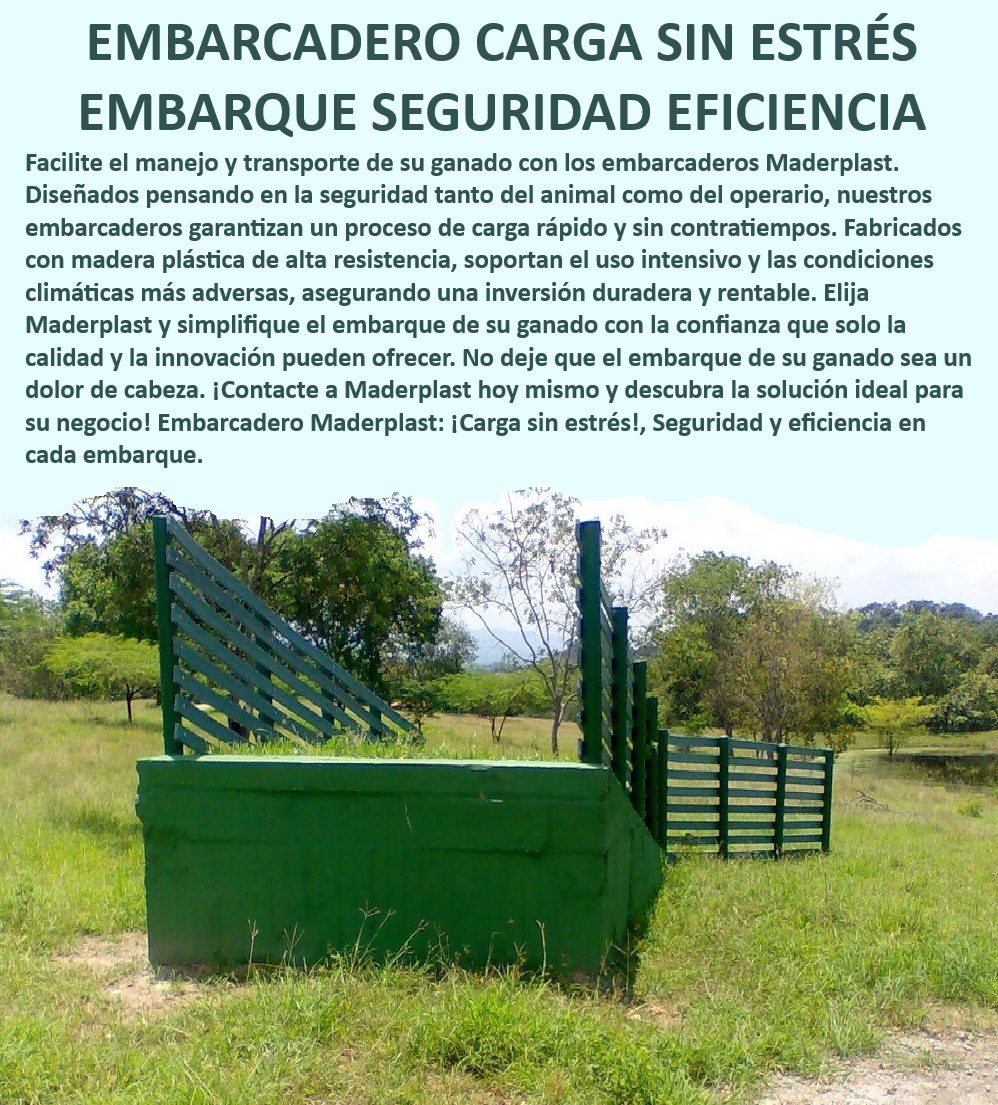 Embarcadero ganadero fijo Embarcadero móvil Sistema de embarque Maderplast Desembarcadero modular y adaptable, - Brete de manejo ganadero portátil, - Sistema de embarque ganadero eficiente, - Desembarcadero ganadero con diseño ergonómico, - ¿Dónde encontrar un embarcadero ganadero portátil y resistente?, - Sistema de carga ganadero anti estrés, - Embarcadero ganadero de carga eficiente, - Embarcadero ganadero con protección climática, - Desembarcadero ganadero de baja mantención, - ¿Qué embarcadero ganadero ofrece mayor seguridad en la carga?, - Desembarcadero ganadero ecológico y resistente, - ¿Cómo elegir un embarcadero ganadero duradero?, - Embarcadero ganadero de rápida instalación, - Apretadero reses modular y seguro, - Embarcadero ganadero resistente y duradero, - Sistema de carga ganadero sin estrés, - Embarcadero ganadero con alta durabilidad, - Embarcadero portátil para ganadería moderna, - Brete modular para manejo eficiente de ganado, - Brete ganadero expansible según necesidad, - ¿Cuál es el mejor embarcadero para manejar ganado sin estrés?, - ¿Qué sistema de embarque ganadero es más eficiente y seguro?, - Sistema ganadero de embarque confiable, - Embarcadero ganadero para grandes rebaños, - Sistema de manejo ganadero confiable, - Apretadero ganadero robusto y seguro, - Desembarcadero ganadero de alta resistencia, - Embarcadero fijo para operaciones ganaderas, - Embarcadero móvil para manejo seguro, - Sistema de embarque seguro para ganado 0 desembarcadero grande Brete de manejo de ganado Apretadero reses desembarcadero para inmovilización segura Brete modular y expansible según necesidad Embarcadero ganadero fijo Embarcadero móvil Sistema de embarque Maderplast 0 desembarcadero grande Brete de manejo de ganado, , Apretadero reses, desembarcadero para inmovilización segura, , Brete modular y expansible según necesidad