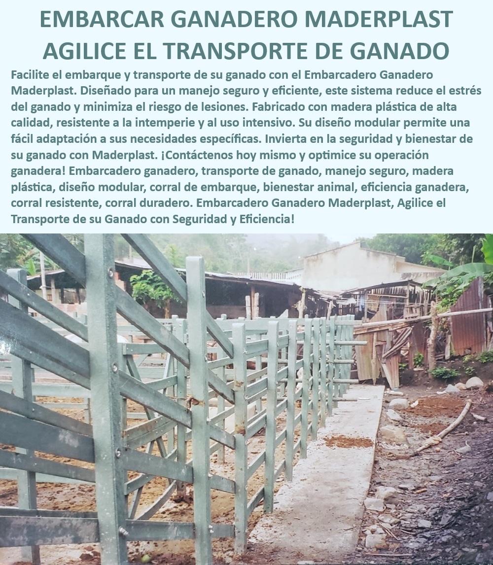 Embarcadero ganado fijo Embarcadero móvil Sistema de embarque Maderplast Manejo seguro de ganado sin lesiones, - Diseño modular para corrales ganaderos, - Eficiencia logística en transporte de ganado, - Sistema modular adaptable corrales, - ¿Qué sistema de embarque ganadero es más seguro?, - ¿Cómo reducir el estrés en el transporte de ganado?, - Diseño de corral de embarque moderno, - Innovación en sistemas de embarque ganadero, - Corrales seguros para manejo ganado, - Embarcadero ganadero seguro eficiente, - Transporte de ganado sin estrés, - Manejo ganado optimizado con Maderplast, - Embarcadero ganadero con bajo mantenimiento, - Corrales modulares para transporte ganado, - ¿Qué embarcadero ganadero ofrece mayor durabilidad?, - Tecnología avanzada en embarques ganaderos, - Instalación de corral modular adaptativo, - ¿Cuál es el corral de manejo ganadero más eficiente?, - Corral de embarque alta durabilidad, - Corral modular ganadero anti estrés, - Solución logística ganadera duradera, - Corral de manejo intensivo ganado, - Embarcadero ganadero plástico resistente, - Reducción estrés en manejo ganadero, - Embarcadero de ganado con seguridad, - Corral embarcadero modular resistente, - Corrales de embarque para ganadería intensiva, - Sistema embarque ganado eficiente seguro, - Transporte seguro de reses con Maderplast, - ¿Cuál es el mejor embarcadero ganadero para evitar lesiones? 0 Corral de sujeción de reses Corral intensivo Apretadero de reses Manga de sujeción de ganado Corral de manejo ganadero Manga contención ganadera Embarcadero ganado fijo Embarcadero móvil Sistema de embarque Maderplast 0 Corral de sujeción de reses, , Corral intensivo, , Apretadero de reses, , Manga de sujeción de ganado, , Corral de manejo ganadero, , Manga contención ganadera