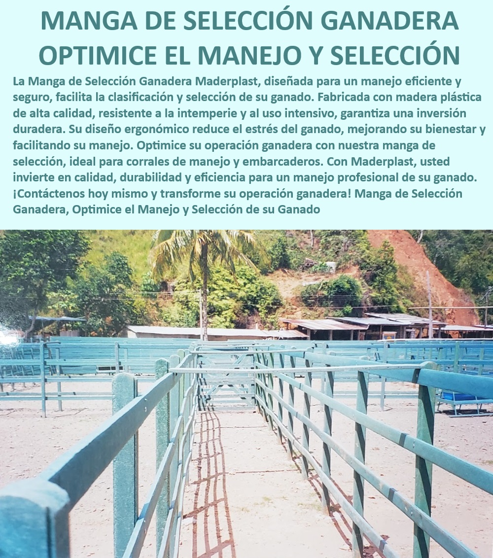 Embarcadero ganado fijo Embarcadero móvil Sistema de embarque Maderplast Manga ganadera para mejorar bienestar animal, - Brete de engorde ganado de alta capacidad Maderplast, - Manga ganadera anti-vandalismo para fincas modernas, - Sistema modular para selección de ganado eficiente, - Corral de sujeción de ganado con diseño innovador, - Manga ganadera resistente al clima extremo Maderplast, - Sistema de embarque ganadero ergonómico Maderplast, - Corral de manejo ganadero robusto y adaptable, - Corral de sujeción de ganado para manejo seguro, - ¿Cuál es la mejor manga ganadera para selección de ganado?, - Sistema de selección y manejo ganadero eficiente, - Manga ganadera fabricada en plástico reciclado durable, - Manga de selección y embarque ganadero sin mantenimiento, - Manga de manejo ganadero sin estrés para animales, - Manga de selección ganadera eficiente Maderplast, - Manga de sujeción de ganado durable y resistente, - ¿Qué beneficios tiene una manga ganadera resistente?, - Corral de manejo ganadero ergonómico para fincas, - Manga ganadera ecológica para selección y manejo, - Corral de manejo ganadero sin mantenimiento, - Manga ganadera anti-corrosión para uso intensivo, - ¿Qué tipo de manga ganadera reduce el estrés animal?, - ¿Dónde comprar mangas ganaderas durables y ecológicas?, - Corral de manejo de ganado con alta eficiencia, - Corral de selección de ganado con alta resistencia, - Manga de sujeción de ganado resistente a la intemperie, - ¿Cómo mejorar la selección de ganado con una manga eficiente?, - Sistema de selección ganadera sin estrés para animales, - Manga ganadera de alta durabilidad para clasificación, - Brete de engorde ganado con alta durabilidad 0 Manga de selección de ganado Corral de manejo ganadero Manga de sujeción de ganado Brete ganado Brete de engorde ganado con alta capacidad Bretes Embarcadero ganado fijo Embarcadero móvil Sistema de embarque Maderplast 0 Manga de selección de ganado, , Corral de manejo ganadero, , Manga de sujeción de ganado, , Brete ganado, , Brete de engorde ganado con alta capacidad, Bretes