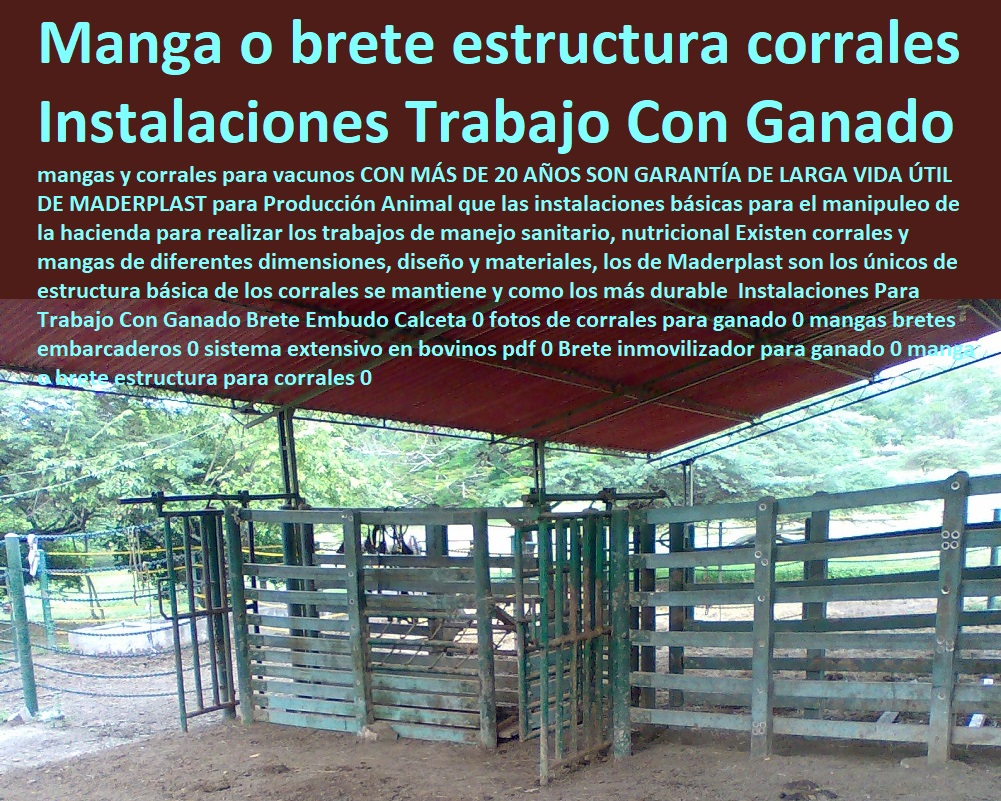 Manga ganadera 0 Brete Apretadero 0 Manga de sujeción de ganado Maderplast Corral de confinamiento ganadero de larga duración, - ¿Cuál es la mejor manga ganadera para manejo de reses?, - Estructura de corrales para ganado robusta, - Sistema extensivo en bovinos con bretes ajustables, - Manga para manejo intensivo de ganado bovino, - Brete apretadero para ganado con ajuste automático, - Estructura ganadera para manejo seguro del ganado, - Sistema de corrales para bovinos con garantía extendida, - Brete ganadero con ajuste automático de sujeción, - Estructura básica de corrales Maderplast, - Manga ganadera para instalación de embarcadero, - Sistema de corrales para manipuleo de ganado, - Brete de contención ganadera duradero, - Manga ganadera resistente para manejo eficiente, - ¿Qué sistema de corrales es ideal para manejo de ganado?, - Sistema de manejo ganadero de alta resistencia, - Estructura de manga ganadera para embarcaderos, - Manga de trabajo bovino con apretadero eficiente, - Brete de captura para ganado de alta durabilidad, - ¿Qué brete ganadero tiene ajuste automático confiable?, - ¿Cómo elegir una manga de trabajo para ganado?, - Manga de sujeción de ganado Maderplast, - ¿Qué brete ganadero tiene mayor durabilidad?, - Corral de manejo extensivo en bovinos Maderplast, - Corral para manejo de ganado sanitario y nutricional, - Manga de trabajo ganadera ajustable, - Manga ganadera para procesos sanitarios y nutricionales, - Manga para trabajo ganadero resistente a la intemperie, - Brete para manejo de ganado con ajuste ergonómico, - Manga ganadera para producción animal eficiente 0 Manga de contención ganadera Corral de confinamiento ganadero Manga de trabajo ganadera Brete para ganado ajuste automático Embarcadero y desembarcadero Manga ganadera 0 Brete Apretadero 0 Manga de sujeción de ganado Maderplast 0 Manga de contención ganadera, , Corral de confinamiento ganadero, , Manga de trabajo ganadera, , Brete para ganado ajuste automático, , Embarcadero y desembarcadero