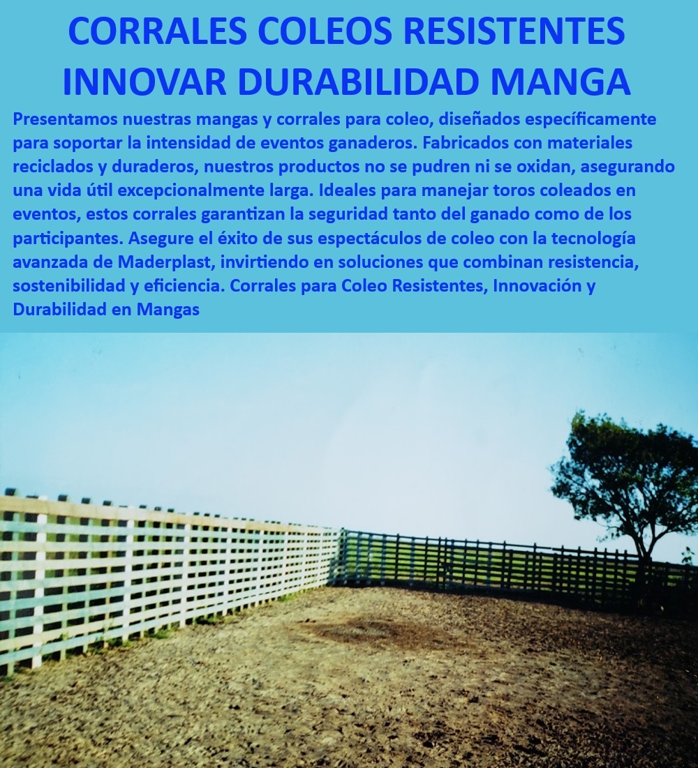 Mangas de coleo toros Corrales grandes rebaños Diseño de corrales Maderplast Mangas para coleo con alta durabilidad, - Mangas modulares para eventos ganaderos, - Corrales ganaderos para grandes rebaños, - ¿Dónde encontrar corrales ecológicos para ganado?, - Corrales diseñados para resistir intemperie, - Eficiencia en el manejo de toros bravos, - Corrales Maderplast para espectáculos de coleo, - Corrales para manejo seguro en eventos, - ¿Cuál es el mejor corral para manejo de toros en eventos?, - Corrales ganaderos para máxima seguridad, - Diseño de corrales para grandes eventos, - Mangas para coleo duraderas y seguras, - ¿Qué tipo de corral es ideal para coleo?, - Corrales ecológicos fabricados con materiales reciclados, - Corrales de calidad superior para coleo, - Estructuras reciclables para eventos de coleo, - ¿Qué corrales ofrecen mayor seguridad para coleo?, - Corrales resistentes para eventos ganaderos, - Innovación y resistencia en corrales ganaderos, - Corrales amplios para diferentes tipos de ganado, - Durabilidad en mangas y corrales para ganado, - Innovación en corrales para eventos de coleo, - Soluciones sostenibles en manejo de ganado, - Seguridad y durabilidad en corrales de coleo, - Tecnología avanzada en manejo de toros, - Corrales con tecnología Maderplast avanzada, - Corrales de alta resistencia para manejo bovino, - ¿Cómo asegurar la durabilidad de los corrales ganaderos?, - Manejo eficiente de toros en eventos de coleo, - Mangas ganaderas con larga vida útil 0 Corrales amplios para diferentes tipos de ganado Coleo para eventos Construcción eco amigable de corrales para ganado Mangas durables Manejo Toros Mangas de coleo toros Corrales grandes rebaños Diseño de corrales Maderplast 0 Corrales amplios para diferentes tipos de ganado, , Coleo para eventos, , Construcción eco-amigable de corrales para ganado, , Mangas durables Manejo Toros