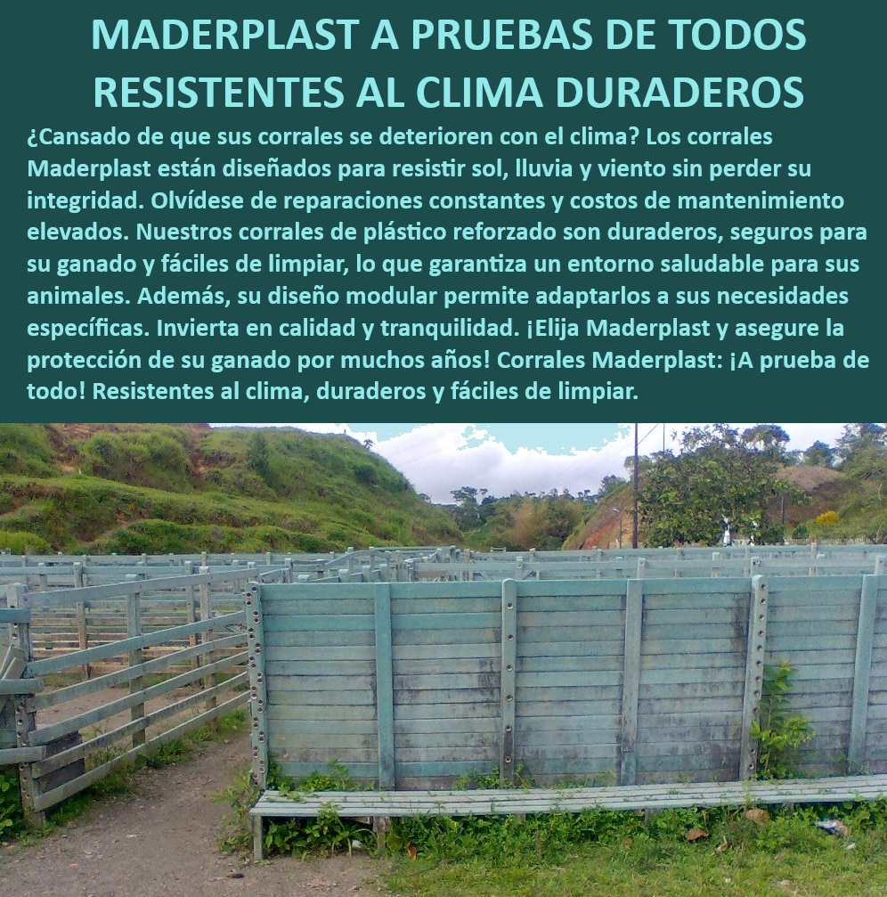 Materiales corrales innovación tecnológica Corrales alta durabilidad Maderplast Corrales modulares para una fácil adaptación, - Corrales duraderos para ganado, - Corrales para ganado sin reparaciones constantes, - Corrales sin mantenimiento frecuente, - Corrales seguros para ambientes desafiantes, - Corrales ganaderos con protección climática, - Corrales ganaderos resistentes a todas las condiciones, - Corrales innovadores para manejo de ganado, - ¿Cuáles son los mejores corrales para climas extremos?, - Corrales de alta calidad para protección ganadera, - Corrales resistentes a condiciones climáticas adversas, - Corrales modulares para adaptarse a necesidades, - Corrales eficientes para operaciones ganaderas, - Corrales resistentes a sol, lluvia y viento, - Corrales con larga vida útil para ganado, - Corrales robustos y seguros para ganado, - Corrales Maderplast con garantía de durabilidad, - Corrales de plástico reforzado, - Corrales de plástico para clima extremo, - ¿Qué corrales requieren menos mantenimiento?, - Corrales de fácil limpieza para ganado, - ¿Dónde comprar corrales ganaderos resistentes al clima?, - Corrales resistentes al clima extremo, - Corrales Maderplast sin costos elevados de mantenimiento, - ¿Qué corrales son más seguros y duraderos para ganado?, - ¿Qué corrales son más duraderos para ganado?, - Soluciones para corrales de alta durabilidad, - Corrales duraderos y fáciles de limpiar, - Corrales para ganado a prueba de todo, - Corrales Maderplast a prueba de clima 0 corrales Mejores soluciones para el manejo de ganado Corrales con techo soporta condiciones adversas Corral de plástico duraderos para exposiciones Materiales corrales innovación tecnológica Corrales alta durabilidad Maderplast 0 corrales Mejores soluciones para el manejo de ganado , Corrales con techo soporta condiciones adversas , Corral de plástico duraderos para exposiciones