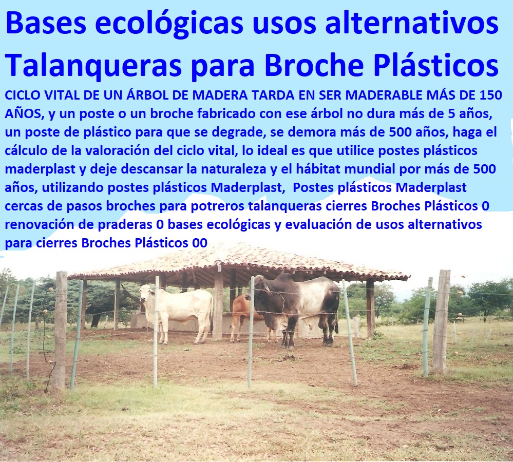 POSTES PARA CERCAS GANADERAS POSTE GANADERO MADERPLAST Postes ganaderos ecológicos larga vida útil, - Talanqueras plásticas con beneficios ecológicos, - ¿Qué alternativas ecológicas existen para postes de madera en potreros?, - Cierres ecológicos para fincas ganaderas, - Cerramientos sostenibles con postes plásticos, - Postes ganaderos ecológicos reciclados, - Soluciones ecológicas en cierres de fincas, - Eficiencia ecológica en cierres ganaderos, - ¿Dónde puedo comprar estacones plásticos para cierres ganaderos?, - Postes plásticos cercas ganaderas ecológicas, - Broches plásticos cierres para potreros, - Estacones plásticos para cercas duraderas, - Soluciones sostenibles en cercas ganaderas, - Estacones plásticos para ganadería responsable, - Postes ganaderos reciclados para cercados, - ¿Cuáles son los beneficios de usar postes plásticos en cercas ganaderas?, - Talanqueras plásticas con bajo mantenimiento, - ¿Por qué elegir postes plásticos para talanqueras ecológicas?, - Innovación en cierres ganaderos sostenibles, - Talanqueras plásticas de larga duración, - Beneficios ecológicos de postes plásticos, - Cierres ganaderos con broches de plástico, - Postes plásticos para praderas y cercados, - Alternativas sostenibles a postes de madera, - Postes de plástico reciclado para cercados, - Estacones plásticos alta durabilidad Maderplast, - Cercas ganaderas con postes plásticos duraderos, - Postes para cercas ganaderas recicladas, - Uso de postes plásticos en praderas renovadas, - ¿Qué tipo de postes ganaderos ofrecen mayor durabilidad? Estacones plasticos homecenter Estacones precio Estacones plásticos medellín Madera plástica precios Postes de madera plástica precio Estacones plásticos precio Estacones POSTES PARA CERCAS GANADERAS, POSTE GANADERO, MADERPLAST, Estacones plasticos homecenter, Estacones precio, Estacones plásticos medellín, Madera plástica precios, Postes de madera plástica precio, Estacones plásticos precio, Estacones