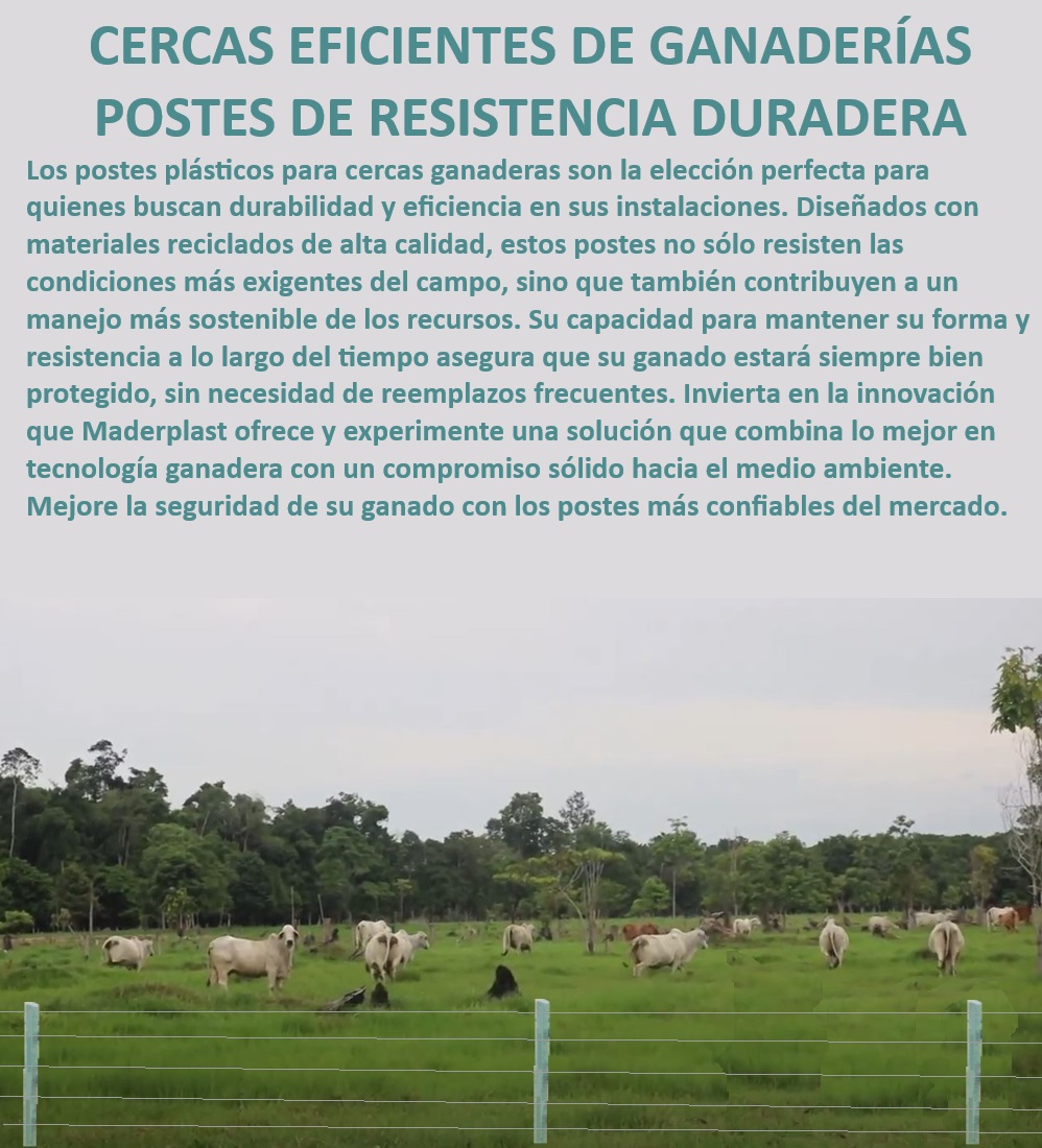 POSTES PARA CERCAS GANADERAS POSTE GANADERO MADERPLAST Cercas ganaderas con bajo impacto ambiental, - Cercas ganaderas adaptadas a condiciones adversas, - Postes plásticos reciclados para cercas, - Postes de alta resistencia para cercas rurales, - Postes plásticos que no requieren mantenimiento, - ¿Cómo mejorar la seguridad de las cercas en fincas ganaderas?, - Cercas ganaderas que garantizan seguridad, - Innovación en cercas para fincas ganaderas, - Postes de plástico para cercas de larga vida útil, - Postes para cercas ganaderas sostenibles, - ¿Cuál es el mejor material para cercas ganaderas?, - ¿Cómo asegurar la durabilidad de cercas en fincas ganaderas?, - Postes reciclados para cercas de ganado, - Cercas eficientes para fincas ganaderas, - Postes para cercas de plástico reciclado, - Soluciones en cercas ganaderas Maderplast, - Postes ecológicos para cercas de ganado, - Postes para ganaderías resistentes a la intemperie, - Cercas sostenibles para ganaderías eficientes, - Cercas eficientes para manejo de ganado, - Postes de plástico que soportan climas extremos, - Postes ganaderos con garantía de durabilidad, - Postes plásticos para cercas ganaderas duraderos, - Cercas de manejo sostenible para ganaderías, - ¿Qué poste para cercas ganaderas dura más?, - Postes duraderos para cercas de fincas, - Postes robustos para cercas ganaderas, - Postes de alta durabilidad para ganaderías, - Tecnología avanzada en cercas para ganado, - ¿Qué tipo de poste es mejor para cercas ganaderas? Postes para corrales ganaderos Postes plásticos para cercas Postes de plástico reciclado Fábrica de postes de plástico para cercas Madera corral ganadero Postes plástico POSTES PARA CERCAS GANADERAS, POSTE GANADERO, MADERPLAST, Postes para corrales ganaderos, Postes plásticos para cercas, Postes de plástico reciclado, Fábrica de postes de plástico para cercas, Madera corral ganadero, Postes plástico