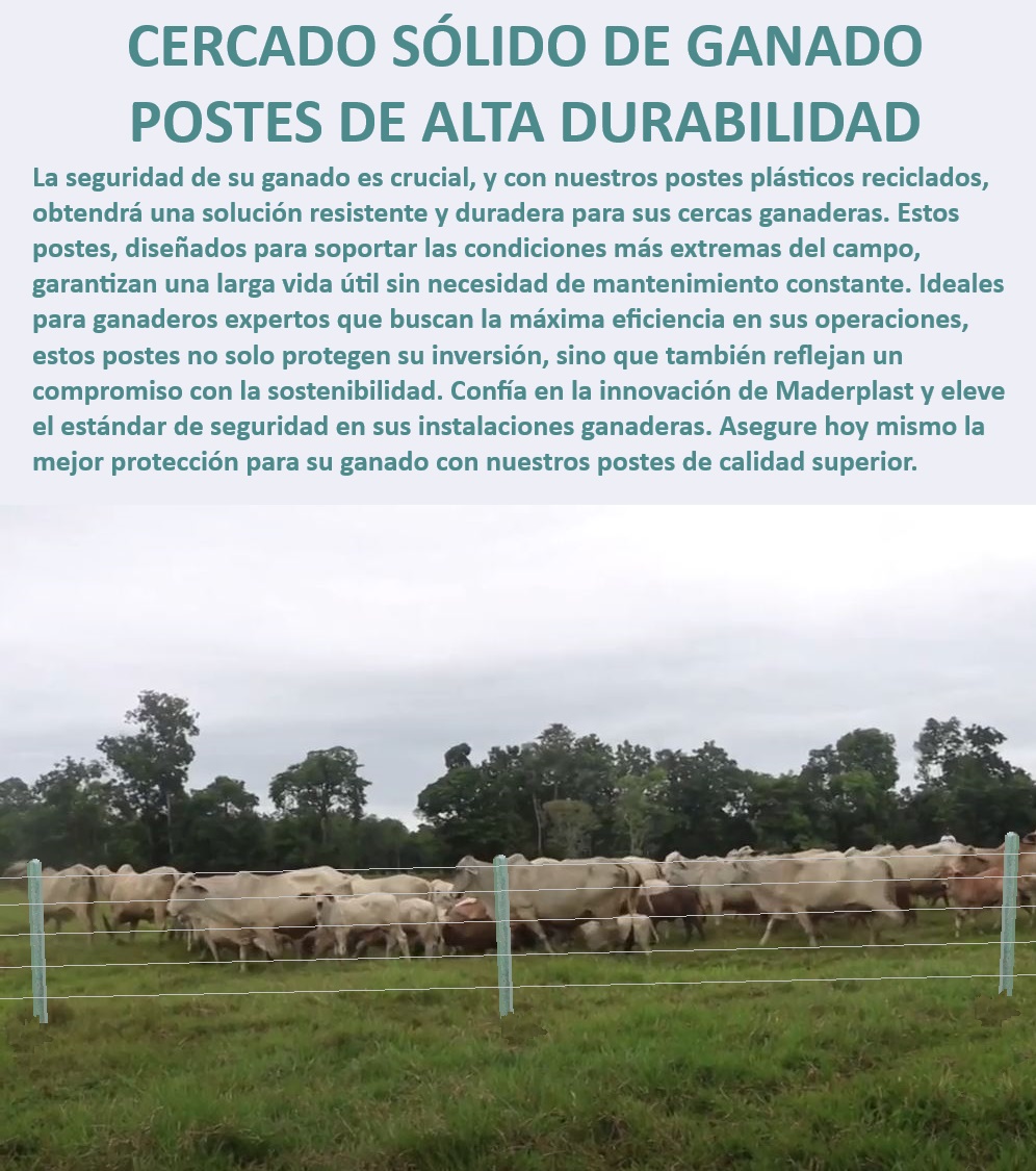 POSTES PARA CERCAS GANADERAS POSTE GANADERO MADERPLAST Cercado ganadero con postes innovadores, - Postes plásticos robustos para cercado, - Cercas ganaderas eficientes y sostenibles, - Postes ganaderos con protección superior, - Cercado sólido con postes duraderos, - Cercas de alta resistencia para ganadería, - Postes plásticos reciclados para cercas, - Cercas eficientes con postes reciclados, - Postes para cercas de alta calidad, - Postes plásticos para cercas resistentes, - ¿Qué postes son más duraderos para cercar ganado?, - Postes para cercas en condiciones extremas, - Postes de plástico reciclado para ganado, - ¿Dónde comprar postes plásticos reciclados para cercas?, - Postes resistentes para cercado de ganado, - Postes plásticos para cercas de larga duración, - Cercas seguras con postes plásticos, - Postes ecológicos para cercas de ganado, - Postes reciclados para cercado sostenible, - Cercado ganadero sin mantenimiento, - Postes sin mantenimiento para cercas ganaderas, - Cercas ganaderas sostenibles con postes plásticos, - Cercas de ganado con postes reciclados, - Postes ganaderos de alta durabilidad, - ¿Cuáles son los mejores postes para cercas ganaderas?, - Cercas ganaderas seguras y duraderas, - ¿Qué tipo de postes no requieren mantenimiento en cercas?, - Postes ganaderos resistentes a la intemperie, - ¿Cómo mejorar la sostenibilidad en cercas ganaderas?, - Postes duraderos para protección ganadera Postes plásticos para cercas Postes de plástico reciclado Fábrica de postes de plástico para cercas Madera para corral ganadero Postes plásticos para cercas Postes Cerca POSTES PARA CERCAS GANADERAS, POSTE GANADERO, MADERPLAST, Postes plásticos para cercas, Postes de plástico reciclado, Fábrica de postes de plástico para cercas, Madera para corral ganadero, Postes plásticos para cercas, Postes Cerca