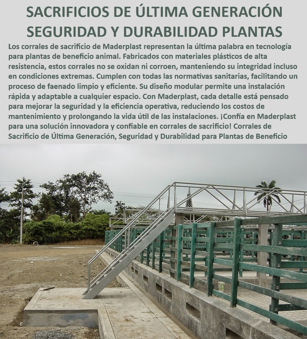 Plantas de Faenado Sacrificio Animal Corrales Beneficio Mataderos Bovinos Maderplast Instalación rápida y adaptable de corrales, - Corrales adaptables a normativas sanitarias, - Infraestructura ganadera eficiente y segura, - Corrales de sacrificio para plantas de beneficio, - Corrales de sacrificio para clima extremo, - ¿Cuáles son los mejores corrales para sacrificio de ganado?, - Plantas de beneficio con corrales duraderos, - ¿Dónde comprar corrales adaptables a normativas sanitarias?, - Tecnología en corrales de beneficio animal, - Corrales para faenado que cumplen normativas, - Corrales de sacrificio que no se oxidan, - Soluciones para plantas de sacrificio animal, - Soluciones sanitarias para faenado animal, - ¿Cómo mejorar la eficiencia en plantas de sacrificio animal?, - Corrales duraderos para faenado de ganado, - Infraestructura para mataderos bovinos, - Instalaciones de sacrificio con larga vida útil, - Corrales para faenado limpio y eficiente, - Infraestructura ganadera de última generación, - Instalaciones para sacrificio de bovinos, - Corrales de alta resistencia para faenado, - Materiales plásticos de alta durabilidad, - Corrales resistentes a la corrosión, - ¿Cómo cumplir normativas sanitarias en plantas de faenado?, - Corrales modulares para faenado animal, - Seguridad en corrales de sacrificio, - Corrales de sacrificio con bajo mantenimiento, - ¿Qué tipo de corral es más resistente para faenado de bovinos?, - Corrales modulares de sacrificio animal, - Corrales con diseño modular adaptable 0 Corrales cuarentena ganado infraestructura para faenado de bovinos Corrales adaptables normativas sanitarias Soluciones Maderplast faenados Plantas de Faenado Sacrificio Animal Corrales Beneficio Mataderos Bovinos Maderplast 0 Corrales cuarentena ganado, , infraestructura para faenado de bovinos, , Corrales adaptables normativas sanitarias, Soluciones Maderplast faenados