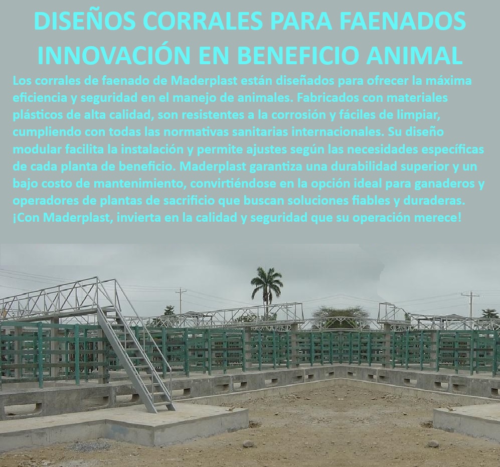 Plantas de Faenado Sacrificio Animal Corrales Beneficio Mataderos Bovinos Maderplast Corrales innovadores para manejo de ganado, - Corrales robustos para plantas de sacrificio, - Corrales ecológicos para beneficio animal, - ¿Cómo mejorar la eficiencia en plantas de faenado?, - Corrales seguros para plantas de faenado, - Corrales modulares para plantas de sacrificio, - Corrales de fácil limpieza para faenado, - Diseño modular de corrales para ganado, - Corrales económicos para plantas de faenado, - Corrales de faenado Maderplast duraderos, - ¿Qué corrales cumplen con las normativas sanitarias internacionales?, - Corrales resistentes a condiciones extremas, - Corrales sanitarios para mataderos, - Corrales plásticos para sacrificio eficiente, - Estructuras sanitarias para mataderos, - Estructuras modulares para plantas de faenado, - Corrales resistentes a la corrosión, - ¿Qué corrales son ideales para mataderos modernos?, - Corrales para sacrificio animal resistentes, - Soluciones seguras para sacrificio de ganado, - Corrales de larga duración para ganado, - Corrales de bajo mantenimiento para ganado, - Corrales especializados para mataderos, - ¿Cuál es la opción más duradera para corrales de sacrificio animal?, - Corrales que cumplen normativas sanitarias, - Corrales ajustables para plantas de beneficio, - Estructuras sanitarias para beneficio animal, - Corrales para plantas de sacrificio eficientes, - ¿Cuáles son los mejores corrales para plantas de sacrificio?, - Corrales plásticos de alta calidad 0 Corrales duraderos ganado corrales para feria de subasta eficientes Estructuras resistentes sacrificio animal Plantas de faenado ambiental Plantas de Faenado Sacrificio Animal Corrales Beneficio Mataderos Bovinos Maderplast 0 Corrales duraderos ganado, , corrales para feria de subasta eficientes, , Estructuras resistentes sacrificio animal, , Plantas de faenado ambiental