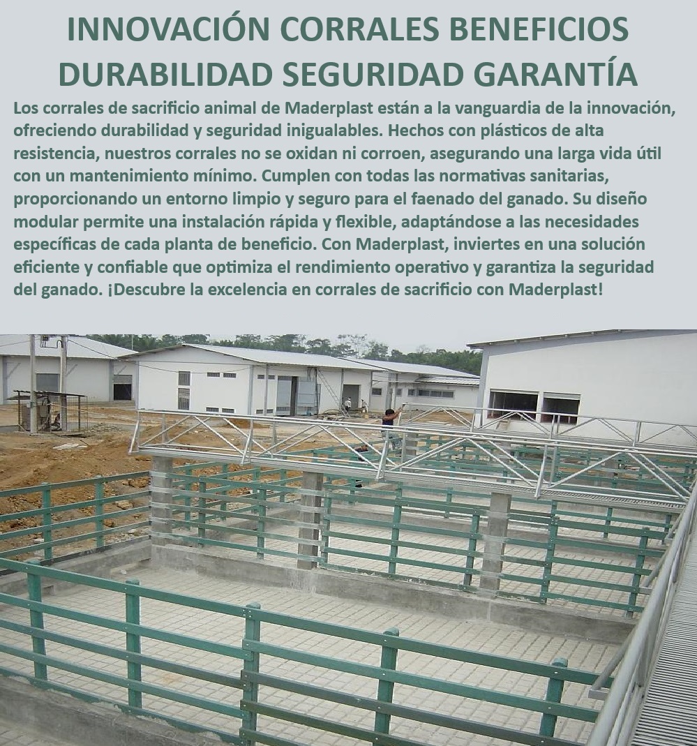 Plantas de Faenado Sacrificio Animal Corrales Beneficio Mataderos Bovinos Maderplast Sistemas de manejo de sacrificio seguro, - Corrales de sacrificio con fácil limpieza, - ¿Cuáles son los mejores corrales para sacrificio animal?, - ¿Qué corrales para sacrificio cumplen con normativas sanitarias?, - Corrales para mataderos bovinos seguros, - Corrales de beneficio animal confiables, - Sistemas de beneficio animal optimizados, - Corrales para sacrificio ganado resistentes, - Sistemas de sacrificio animal higiénicos, - Corrales higiénicos para mataderos, - ¿Cómo elegir corrales seguros para sacrificio de ganado?, - Sistemas de confinamiento para sacrificio, - Estructuras modulares para sacrificio, - Corrales plásticos para mataderos durables, - Corrales ganaderos para plantas de sacrificio, - Sistemas de faenado ganado eficientes, - Sistemas de sacrificio bovino confiables, - Corrales para plantas de faenado normatividad, - Corrales para sacrificio animal duraderos, - ¿Qué sistema de corrales es ideal para mataderos bovinos?, - Corrales para beneficio animal duraderos, - Corrales para faenado animal seguros, - Corrales de ganado de fácil instalación, - Estructuras de sacrificio ganadero resistentes, - Infraestructura de sacrificio ganadero efectiva, - Infraestructura de sacrificio ganadero duradera, - Estructuras para mataderos ganaderos seguras, - Corrales modulares para sacrificio animal, - Corrales para mataderos con alta resistencia, - ¿Qué corrales para faenado garantizan mayor durabilidad? 0 Estructuras de sacrificio de fácil limpieza Corrales con garantía de durabilidad Sistemas de confinamiento sacrificio Infraestructuras res Plantas de Faenado Sacrificio Animal Corrales Beneficio Mataderos Bovinos Maderplast 0 Estructuras de sacrificio de fácil limpieza, , Corrales con garantía de durabilidad, , Sistemas de confinamiento sacrificio, , Infraestructuras res