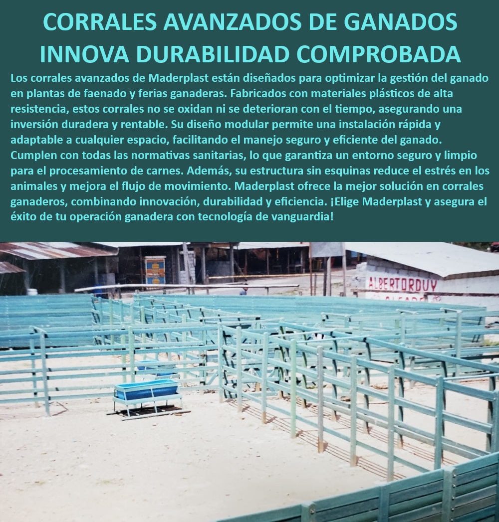 Plazas De Faenado Feria Subasta Corrales Redondos Plaza Toros Maderplast Corrales ganaderos con instalación rápida, - Corrales ganaderos con inversión rentable, - Corrales ganaderos con eficiencia garantizada, - Corrales de alta durabilidad para ferias, - Corrales sanitarios con fácil limpieza, - Corrales resistentes para ganadería moderna, - Corrales modulares para ferias ganaderas, - ¿Qué corrales cumplen normativas sanitarias para ganado?, - Corrales ganaderos para manejo eficiente, - Corrales modulares para subastas ganaderas, - ¿Qué corrales son mejores para ferias ganaderas?, - Corrales avanzados para manejo seguro, - Corrales ganaderos con normativas sanitarias, - ¿Cuáles son los corrales más duraderos para faenado?, - Corrales de plástico duradero, - Corrales avanzados para manejo ganadero, - Corrales avanzados con diseño modular, - Corrales sin esquinas para reducir estrés, - Corrales modulares de alta resistencia, - Corrales avanzados para manejo animal, - Corrales para ganado adaptables a cualquier espacio, - Corrales ganaderos con tecnología innovadora, - ¿Qué corrales ofrecen mejor manejo para subastas?, - Corrales para subastas con tecnología avanzada, - Corrales avanzados para reducción de costos, - ¿Cómo elegir corrales avanzados para ganado?, - Corrales resistentes para plantas de faenado, - Corrales de plástico para ganado, - Corrales sanitarios para procesamiento de carne, - Corrales sin oxidación ni deterioro 0 Corrales de espera para beneficios de ganado Mejores prácticas industria cárnica Plantas de sacrificio Municipal Corrales tecnología avanzada Plazas Faenados Plazas De Faenado Feria Subasta Corrales Redondos Plaza Toros Maderplast 0 Corrales de espera para beneficios de ganado, , Mejores prácticas industria cárnica, , Plantas de sacrificio Municipal, , Corrales tecnología avanzada Plazas Faenados