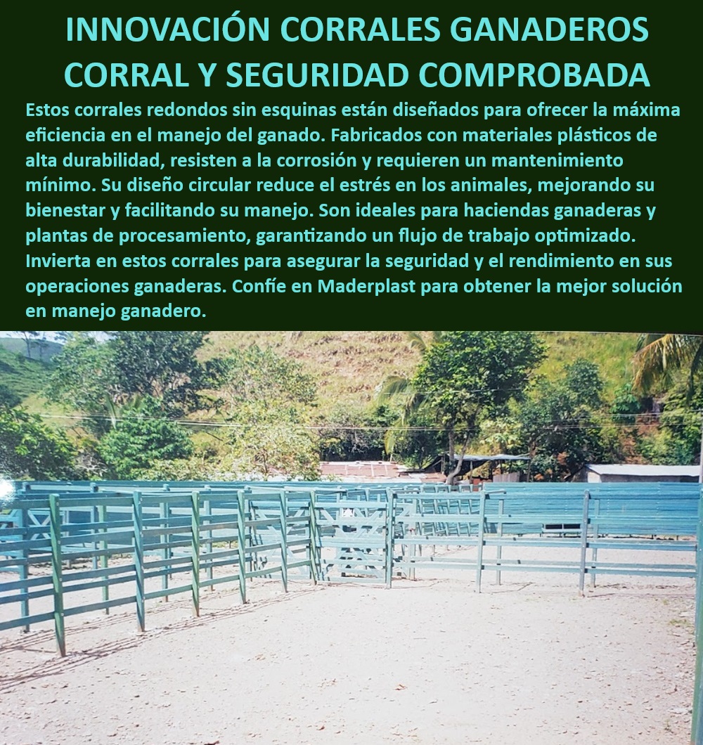 Plazas De Faenado Feria Subasta Corrales Redondos Plaza Toros Maderplast Corrales redondos sin esquinas, - Corrales con resistencia a la intemperie, - Corrales ideales para plantas de sacrificio, - Corrales para manejo eficiente de ganado, - Corrales ganaderos con flujo de trabajo optimizado, - Corrales ganaderos para flujo de trabajo eficiente, - Corrales resistentes para clima extremo, - Corrales ganaderos para mayor bienestar animal, - Corrales ganaderos de bajo mantenimiento, - Diseño de corrales que reduce el estrés animal, - ¿Qué corrales son más duraderos para manejo de ganado en clima extremo?, - Estructuras plásticas duraderas para ganado, - Corrales de alta calidad para ganado estabulado, - ¿Qué corrales son ideales para subastas y ferias ganaderas?, - Corrales seguros para operaciones ganaderas, - Corrales con materiales plásticos anticorrosión, - Corrales para haciendas ganaderas optimizadas, - Corrales modulares para instalaciones ganaderas, - Corrales para ganado con alta durabilidad, - Corrales ganaderos con tecnología avanzada, - Corrales con diseño circular para reducir estrés, - Corrales ganaderos resistentes a la corrosión, - Corrales redondos para subastas y ferias ganaderas, - ¿Cuál es el mejor corral para reducir el estrés en el ganado?, - Corrales para optimizar manejo en ferias, - Manejo ganadero eficiente con corrales Maderplast, - ¿Cómo elegir corrales ganaderos que optimicen el manejo del ganado?, - ¿Qué corrales ofrecen mayor durabilidad y menos mantenimiento?, - Corrales ganaderos con seguridad comprobada, - Corrales para plantas de procesamiento de ganado 0 Corrales resistentes para mataderos Estructuras plásticas Maderplast para ganadería Medidas de bretes para ganado eficientes Implementación eficiente Plazas De Faenado Feria Subasta Corrales Redondos Plaza Toros Maderplast 0 Corrales resistentes para mataderos, , Estructuras plásticas Maderplast para ganadería, , Medidas de bretes para ganado eficientes, , Implementación eficiente