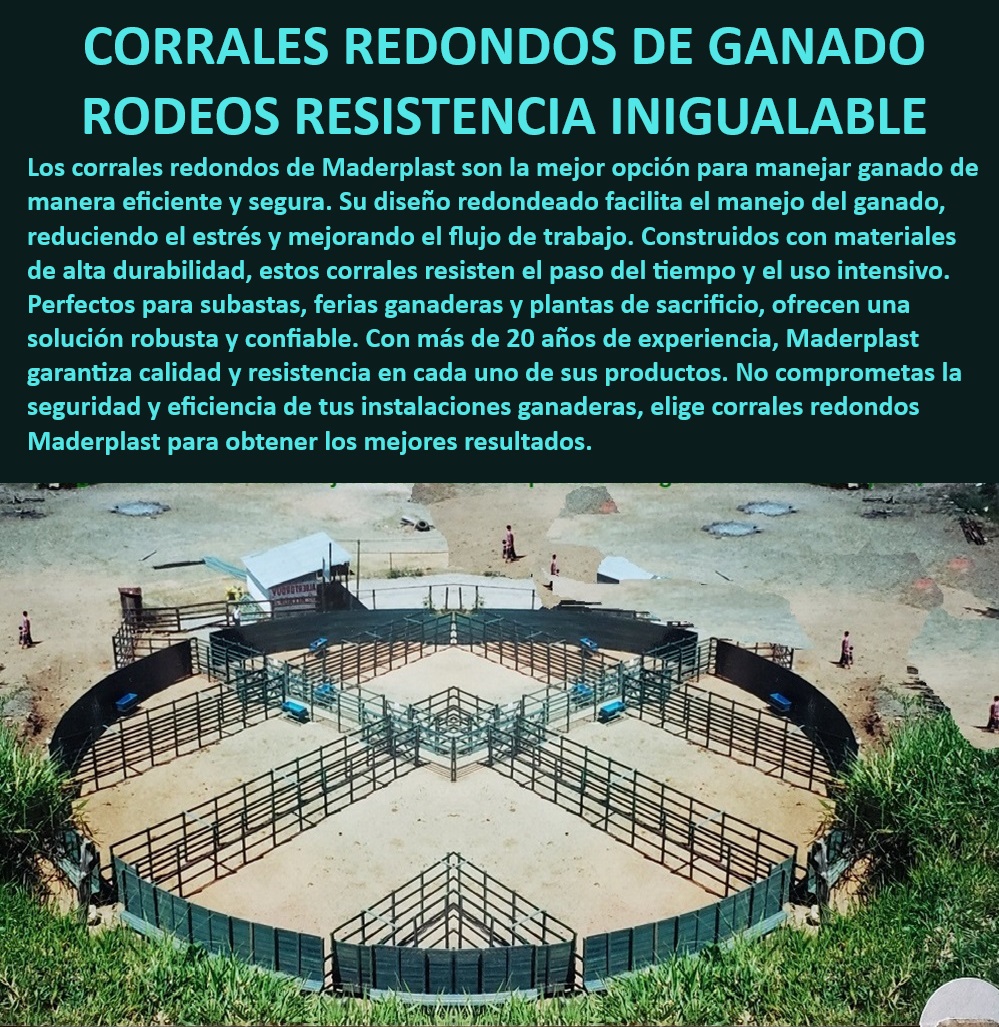 Plazas De Faenado Plaza Toros Feria Subasta Corrales Redondos Maderplast Corrales de ganado para plantas de sacrificio, - Corrales resistentes para uso intensivo, - Corrales redondeados para ferias ganaderas, - Corrales ganaderos con materiales duraderos, - Corrales para ganado con alta durabilidad, - Corrales redondos para subastas ganaderas, - ¿Qué corrales son más seguros para subastas de ganado?, - Corrales redondos para subastas de ganado, - Corrales para manejo seguro de ganado, - Corrales redondeados para rodeos ganaderos, - Corrales redondos de ganado duraderos, - Corrales redondeados con instalación fácil, - Corrales redondeados para mejorar flujo trabajo, - Corrales para manejo de ganado eficiente, - ¿Por qué elegir corrales redondos para manejo de ganado?, - ¿Qué ventajas tienen los corrales redondos de Maderplast?, - Corrales redondos de alta calidad, - Corrales ganaderos con diseño ergonómico, - Corrales ganaderos de alta resistencia, - Corrales ganaderos para subastas y ferias, - Corrales ganaderos robustos y confiables, - Corrales para ganado de diseño redondeado, - Corrales redondos para seguridad ganadera, - Corrales ganaderos redondos para plantas de sacrificio, - ¿Dónde comprar corrales redondos para ganado?, - Corrales redondos para manejo eficiente, - Corrales redondos para instalaciones ganaderas, - ¿Cuáles son los mejores corrales redondos para ferias ganaderas?, - Corrales de manejo ganadero resistentes, - Corrales redondos que reducen estrés animal 0 Diseño y construcción de corrales para plantas frigoríficas Corrales resistentes para sacrificio Corrales para regulaciones internacionales Plazas Faenas Plazas De Faenado Plaza Toros Feria Subasta Corrales Redondos Maderplast 0 Diseño y construcción de corrales para plantas frigoríficas, , Corrales resistentes para sacrificio, , Corrales para regulaciones internacionales Plazas Faenas