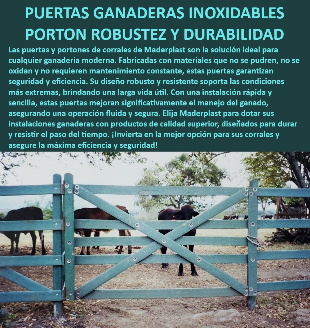 Puerta Resistente Para Corrales Portones Broches Talanquera Corral Maderplast Puertas para corrales de fácil mantenimiento, - Portones de corral de rápido montaje, - ¿Cómo instalar puertas de corral ganadero rápidamente?, - ¿Qué portones de corral son más duraderos?, - Portones de corral resistentes a la intemperie, - ¿Qué puertas de corral son resistentes al robo?, - Puertas para corrales con alta seguridad, - Portones de corral con larga vida útil, - Portones de corral con instalación rápida, - Puertas de corral ganadero resistentes, - Portones de corral con alta resistencia, - Puertas ganaderas con garantía de durabilidad, - Portones de corral de alta durabilidad, - Portones de corral con diseño modular, - Portones de corral con estructura robusta, - Portones de corral para climas extremos, - ¿Qué puertas de corral no requieren mantenimiento?, - Portones robustos para ganadería intensiva, - Puertas ganaderas con alta eficiencia, - Puertas de corral inoxidables y duraderas, - Puertas ganaderas resistentes y duraderas, - Portones de corral sin mantenimiento constante, - ¿Cuáles son los mejores portones para corrales en climas extremos?, - Portones de corral anti corrosión, - Puertas ganaderas para instalaciones modernas, - Puertas ganaderas fáciles de instalar, - Puertas de corral inoxidables y seguras, - Puertas ganaderas con diseño eficiente, - Puertas ganaderas anti robo y anti vandalismo, - Puertas para corrales de alto rendimiento 0 Portones de corral con instalación rápida y sencilla Puertas de corral ganadero anti robo Portones eficientes Puerta Corrales duraderos Portón Res Puerta Resistente Para Corrales Portones Broches Talanquera Corral Maderplast 0 Portones de corral con instalación rápida y sencilla , Puertas de corral ganadero anti robo , Portones eficientes , Puerta Corrales duraderos , Portón Res