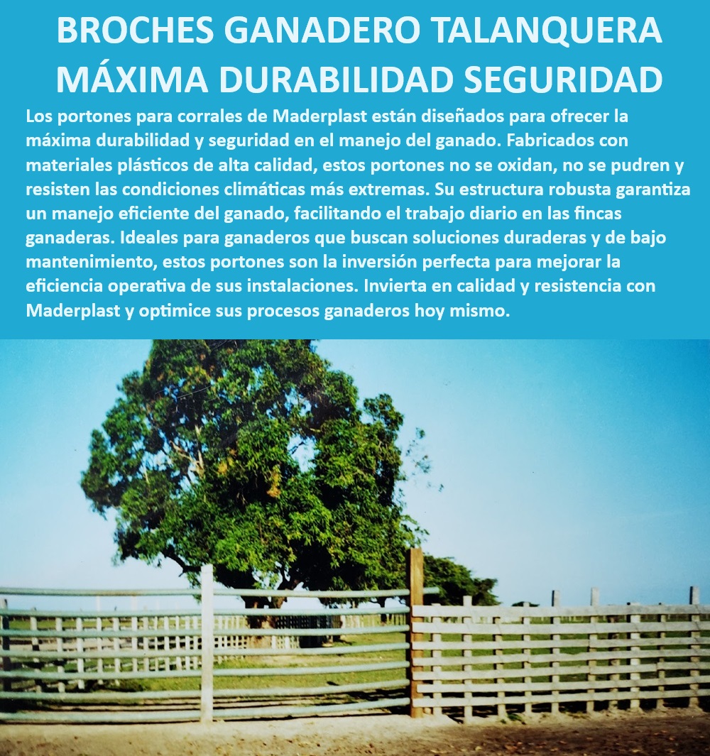 Puerta Resistente Para Corrales Talanquera Portones Broches de Paso Maderplast Talanquera ganadera para alta durabilidad, - Puerta de corral para climas extremos, - ¿Dónde encontrar puertas resistentes para corrales de ganado?, - Puerta para corrales con seguridad garantizada, - Portón ganadero de alta durabilidad, - Puerta ganadera con diseño seguro, - Puerta ganadera con materiales anti corrosión, - Portón para manejo eficiente de ganado, - Portón para corral con máxima seguridad, - Puerta de corral fácil de instalar, - Portón seguro para manejo de ganado, - ¿Qué portón ganadero ofrece mayor seguridad?, - Puerta robusta para corrales de ganado, - Puerta ganadera adaptada a fincas, - Puerta resistente para explotación ganadera, - Portón duradero para instalaciones ganaderas, - Talanquera ganadera con materiales resistentes, - Portón resistente para corrales de ganado, - Puerta de corral con instalación rápida, - Talanquera para corrales de alta resistencia, - Talanquera de plástico reciclado para ganado, - ¿Cuál es el portón más duradero para corrales ganaderos?, - Portón ganadero con estructura sólida, - Portón ganadero con alta resistencia, - Portón duradero para fincas ganaderas, - Portón ganadero con baja mantención, - Puerta ganadera duradera y eficiente, - ¿Qué tipo de talanquera es ideal para manejo de ganado?, - Portón inoxidable para instalaciones ganaderas, - ¿Cuál es el mejor portón para instalaciones ganaderas? 0 Portón para corrales de ganado duradero Portón ganadero de instalación rápida y eficiente. Corral ganadero alta resistencia inoxidable Puerta reses Puerta Resistente Para Corrales Talanquera Portones Broches de Paso Maderplast 0 Portón para corrales de ganado duradero , Portón ganadero de instalación rápida y eficiente. , Corral ganadero alta resistencia inoxidable , Puerta reses