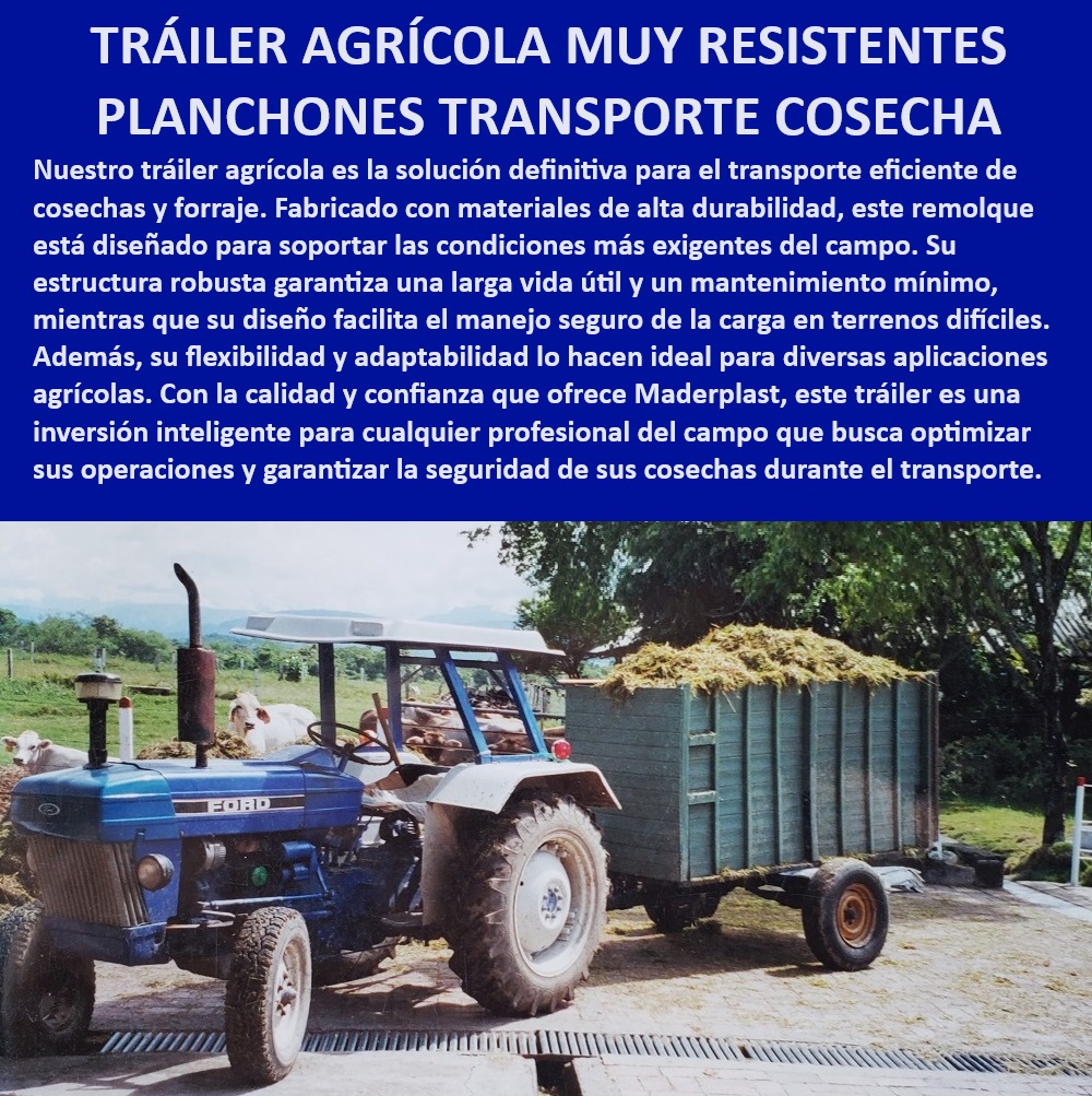 Trailer Zorra Remolque Tráiler Agrícola Zorras ganadera Carrocería Maderplast Remolque agrícola para operaciones seguras, - ¿Qué tráiler agrícola es más resistente para transporte de cosechas?, - Plataforma de cosecha para forraje, - ¿Qué remolque agrícola garantiza la seguridad de las cosechas?, - Remolque resistente para cosechas pesadas, - ¿Dónde puedo encontrar un remolque agrícola duradero y seguro?, - Plataforma de transporte agrícola adaptable, - Zorra ganadera de alta durabilidad, - Zorra agrícola con diseño robusto, - Remolque agrícola con garantía de durabilidad, - Remolque agrícola con estructura reforzada, - Tráiler agrícola resistente para cosechas, - Remolque para forraje con alta capacidad, - Tráiler para transporte de cosechas seguras, - Remolque de cosecha para condiciones exigentes, - Zorra ganadera de larga vida útil, - Zorra agrícola para terrenos difíciles, - Plataforma de transporte para forraje, - Remolque de cosechas con estructura reforzada, - Tráiler de alta capacidad para transporte de heno, - ¿Cuál es el mejor remolque para transportar forraje en terrenos difíciles?, - Tráiler agrícola seguro y eficiente, - Zorra ganadera para transporte seguro, - Tráiler agrícola para transporte en granjas, - ¿Qué tráiler agrícola tiene la mayor capacidad para transporte de heno?, - Tráiler agrícola para manejo eficiente, - Remolque agrícola adaptable y flexible, - Zorra agrícola con mínima necesidad de mantenimiento, - Tráiler agrícola para uso en campo extremo, - Remolque agrícola de alta capacidad 0 Carretilla agrícola para transporte de cosechas Zorra de cultivo con estructura reforzada Remolques de alta capacidad para ganadería Plataforma heno Trailer Zorra Remolque Tráiler Agrícola Zorras ganadera Carrocería Maderplast 0 Carretilla agrícola para transporte de cosechas , Zorra de cultivo con estructura reforzada , Remolques de alta capacidad para ganadería , Plataforma heno