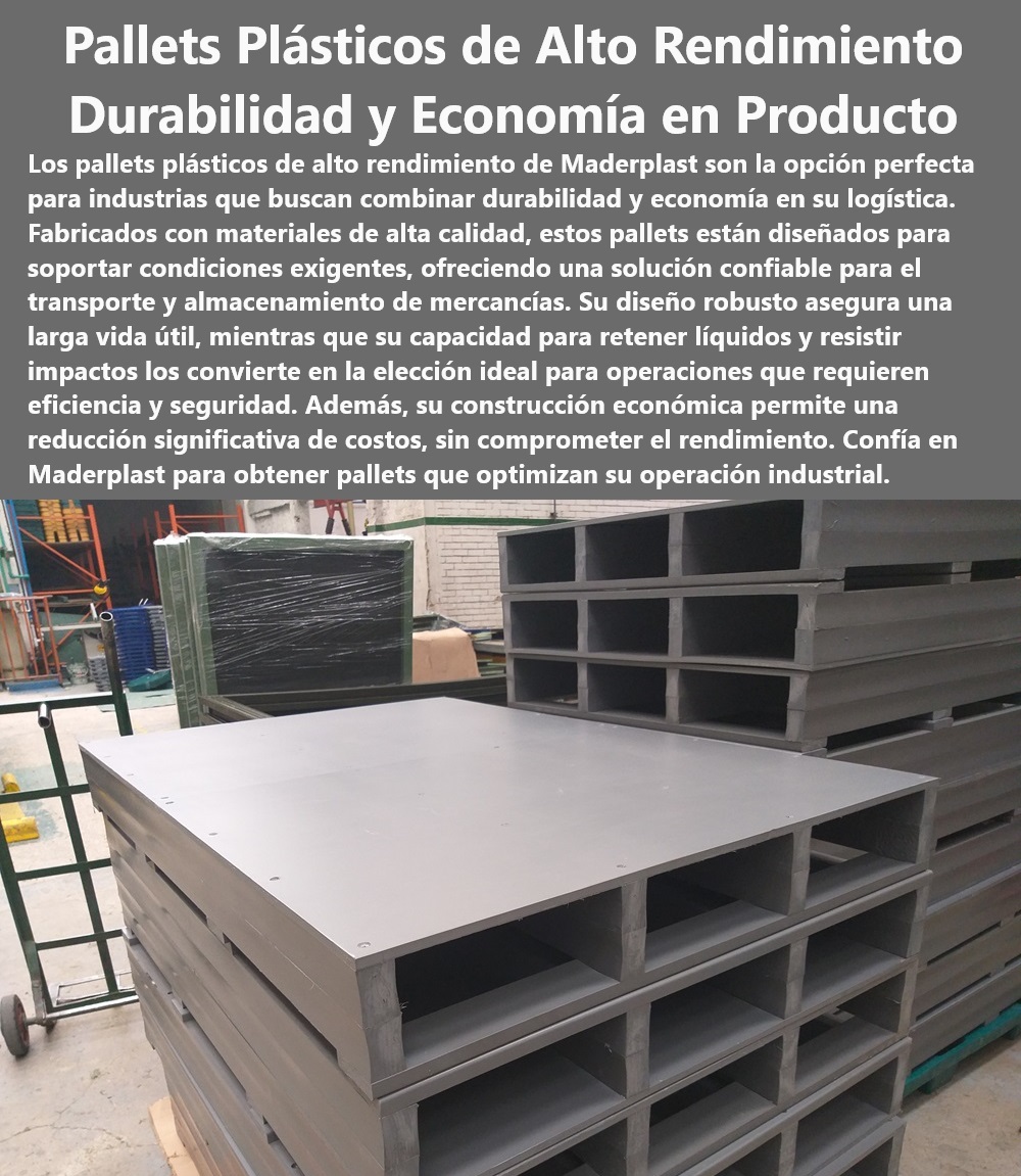 Catálogo Estibas Pallets Plásticos Brochure Tarimas Diseños Especiales Maderplast Pallets plásticos económicos con alto rendimiento Pallets plásticos duraderos y económicos Estibas exportación Estibas con retención de líquidos PP Pallets para condiciones climáticas extremas - Estibas personalizadas para necesidades específicas - Soluciones de almacenamiento eficiente Maderplast - Tarimas económicas alto rendimiento Maderplast - Pallets con alta durabilidad y bajo costo - "¿Cuáles son los pallets más económicos para uso intensivo disponibles en Maderplast?" - Estibas de plástico para transporte seguro - Estibas para optimización de espacio de almacén - Pallets plásticos con garantías extendidas - "Busco estibas que soporten líquidos, ¿tiene Maderplast soluciones?" - "¿Maderplast tiene pallets especializados para exportaciones internacionales?" - Estibas plásticas para operaciones logísticas eficientes - Soluciones de almacenamiento con pallets modulares - Tarimas resistentes a químicos y humedad - Soluciones Maderplast para almacenaje económico - Tarimas de Maderplast para uso intensivo - Pallets especializados para sectores regulados - Tarimas para almacenamiento de líquidos - Pallets plásticos duraderos para exportación - Pallets de fácil limpieza para industrias sanitarias - Pallets industriales resistentes y económicos - Tarimas plásticas ideales para logística - Pallets reciclables para operaciones sostenibles - Estibas robustas para uso industrial - Pallets económicos para industrias pesadas - Estibas para manejo seguro de productos químicos - "Necesito tarimas económicas para logística pesada, ¿qué recomienda Maderplast?" - Estibas plásticas con retención de líquidos - Estibas con capacidad de carga pesada - "¿Qué opciones de pallets plásticos duraderos ofrece Maderplast?" Catálogo Estibas Pallets Plásticos Brochure Tarimas Diseños Especiales Maderplast - Pallets plásticos económicos con alto rendimiento - Pallets plásticos duraderos y económicos - Estibas exportación - Estibas con retención de líquidos PP