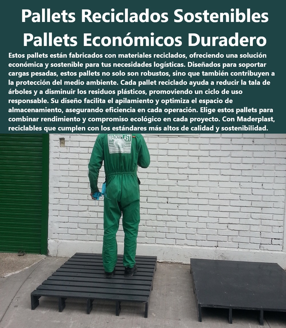 Catálogo Estibas Pallets Plásticos Brochure Tarimas Plásticas Recicladas Maderplast Estibas de alta carga Comprar estibas plásticas Pallets de plástico Estibas diseñadas para cargas pesadas y duraderas Estibas apilables Pallets PP Pallets sostenibles de alta resistencia Maderplast - Pallets plásticos reciclados económicos duraderos - Necesito pallets resistentes para uso industrial, ¿Maderplast tiene soluciones? - ¿Cómo contribuyen los pallets reciclados de Maderplast a la sostenibilidad ambiental? - Compra pallets reciclados para logística eficiente - Pallets plásticos de bajo mantenimiento - Tarimas plásticas recicladas para transporte seguro - Comparación de costos: pallets plásticos vs. madera - Pallets reciclados como solución en cadena de suministro - ¿Cuáles son los beneficios de usar pallets plásticos reciclados? - ¿Qué opciones de pallets reciclados ofrece Maderplast? - Pallets duraderos para industrias sostenibles - Mejores prácticas en reciclaje de pallets - Pallets reciclados de Maderplast para exportación - Beneficios de pallets reciclados en logística - Pallets de plástico reciclado con certificación - Proveedor confiable de pallets reciclados - Alternativas sostenibles a pallets de madera - Busco pallets económicos y duraderos para exportación, ¿alguna recomendación? - Ofertas en pallets plásticos reciclados - Innovación en diseño de pallets reciclados - Soluciones ecológicas en pallets de carga pesada - Pallets reciclados para reducir huella de carbono - Impacto ambiental de pallets plásticos reciclados - Dónde comprar pallets reciclados de calidad - Personalización de pallets para necesidades específicas - Pallets de plástico para uso intensivo - Ventajas de pallets plásticos sobre madera - Pallets reciclados para optimización de almacenes - Pallets para almacenamiento económico y durable Catálogo Estibas Pallets Plásticos Brochure Tarimas Plásticas Recicladas Maderplast - Estibas de alta carga - Comprar estibas plásticas - Pallets de plástico - Estibas diseñadas para cargas pesadas y duraderas - Estibas apilables - Pallets PP