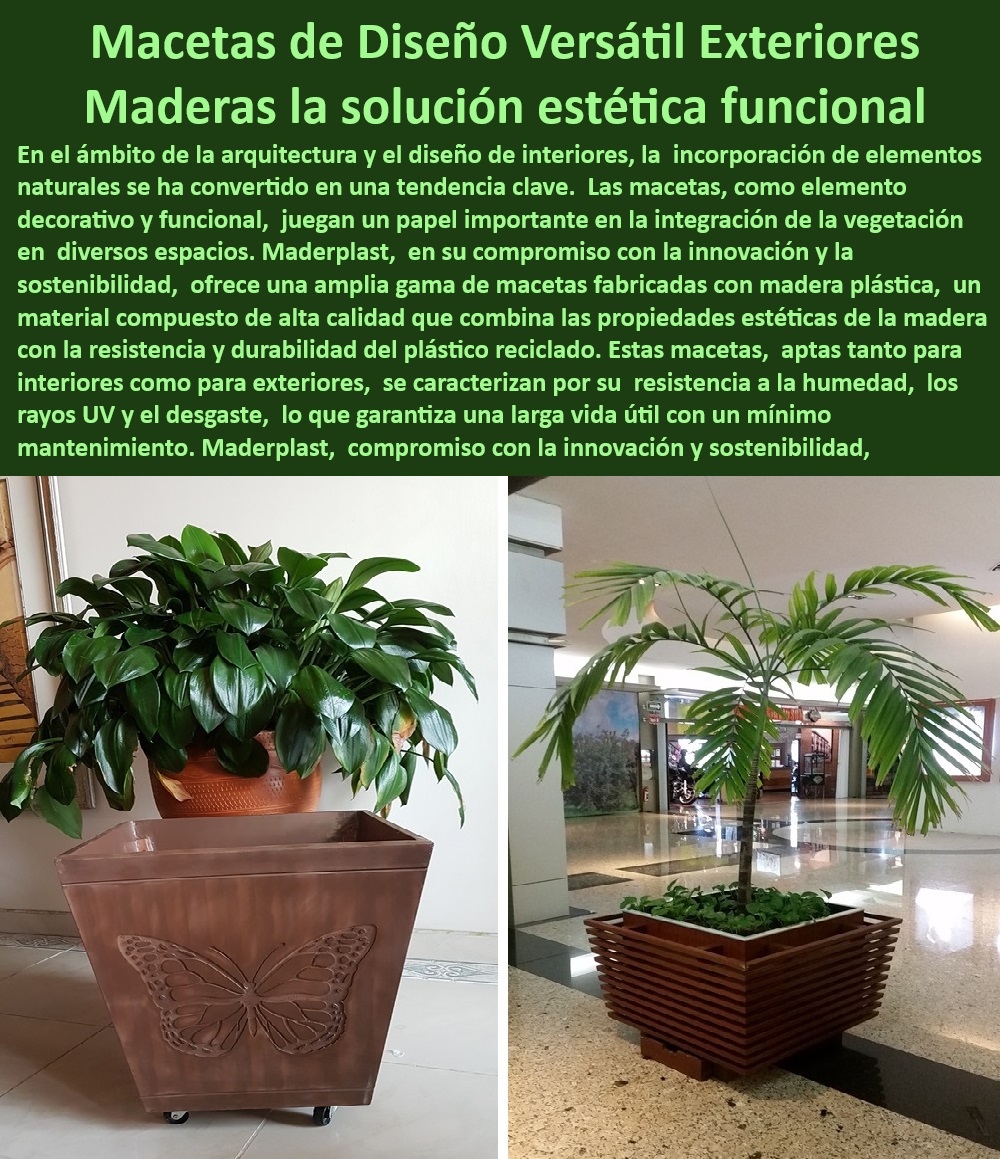 Macetas Decorativas para Espacios Públicos Maceteros grandes Maderplast 0 Maceteros Integrados para Centros Urbanos Islas Verdes con Plantas para Centros Comerciales Soluciones en Maceteros en Zonas de Alto Tráfico Peatonal Decoración  Islas verdes con maceteros para mejorar la imagen de las ciudades, - Maceteros de madera plástica para proyectos de accesibilidad universal, - Islas verdes con plantas para centros comerciales con diseño moderno, - Soluciones-Maceteros-Alto-Tráfico, - Islas verdes con maceteros para crear un ambiente relajante en zonas urbanas, - Islas-Verdes-con-Maceteros-Calidad-del-Aire, - Maceteros-Integrados-con-Iluminación, - Maceteros-Madera-Plástica-Espacios-Urbanos, - Maceteros para ciudades inteligentes: integración de tecnología y sostenibilidad, - Maceteros integrados con señalización para orientar a los peatones, - Soluciones en maceteros para calles y aceras con alto tráfico, - Maceteros-Integrados-con-Bancos, - Maceteros integrados con asientos para promover la interacción social en las ciudades, - Soluciones en maceteros para controlar el tráfico peatonal en zonas concurridas, - Soluciones en maceteros para plazas y parques con diseño funcional, - Maceteros integrados con iluminación para crear ambientes nocturnos seguros, - Maceteros de madera plástica para proyectos de paisajismo urbano sostenible, - Soluciones en maceteros para crear zonas de sombra en espacios urbanos, - Innovación en mobiliario urbano con maceteros de madera plástica, - Maceteros integrados con bancos para crear áreas de descanso en ciudades, - Maceteros integrados con sistemas de riego automático para un fácil mantenimiento, - Maceteros integrados con papeleras para mantener la limpieza en espacios públicos. ¿Cuánto cuestan las islas verdes con maceteros para centros comerciales?, - Maceteros de madera plástica para delimitar zonas peatonales y vehiculares. ¿Dónde puedo comprar maceteros integrados para mi ciudad?, - Maceteros de madera plástica para embellecer espacios urbanos, - Islas verdes con maceteros para reducir el ruido en zonas urbanas, - Maceteros de madera plástica para integrar la naturaleza en entornos urbanos. ¿Hay empresas que diseñen e instalen soluciones en maceteros para espacios públicos?, - Soluciones-Maceteros-Plazas-y-Parques, - Maceteros integrados para zonas peatonales de alta resistencia, - Maceteros-Integrados-Zonas-Peatonales, - Maceteros-Madera-Plástica-Resistentes, - Soluciones en maceteros para crear espacios verdes en entornos urbanos, - Islas-Verdes-con-Plantas-Centros-Comerciales, - ¿Qué tipos de maceteros son ideales para zonas de alto tráfico peatonal?, - Diseño de espacios urbanos con maceteros para mejorar la calidad de vida, - Islas verdes con maceteros para fomentar la biodiversidad en las ciudades, - Maceteros integrados: análisis de impacto en la movilidad urbana, - Soluciones en maceteros para mejorar la estética de espacios públicos, - Islas verdes con maceteros: beneficios para el medio ambiente y la salud. ¿Cuáles son las ventajas de usar maceteros de madera plástica en espacios urbanos?, - Islas-Verdes-con-Maceteros-Biodiversidad, - Islas verdes con maceteros para mejorar la calidad del aire en zonas urbanas, - Maceteros de madera plástica resistentes a la intemperie y al vandalismo. Macetas Decorativas para Espacios Públicos Maceteros grandes Maderplast 0 Maceteros Integrados para Centros Urbanos - Islas Verdes con Plantas para Centros Comerciales - Soluciones en Maceteros en Zonas de Alto Tráfico Peatonal Decoración -