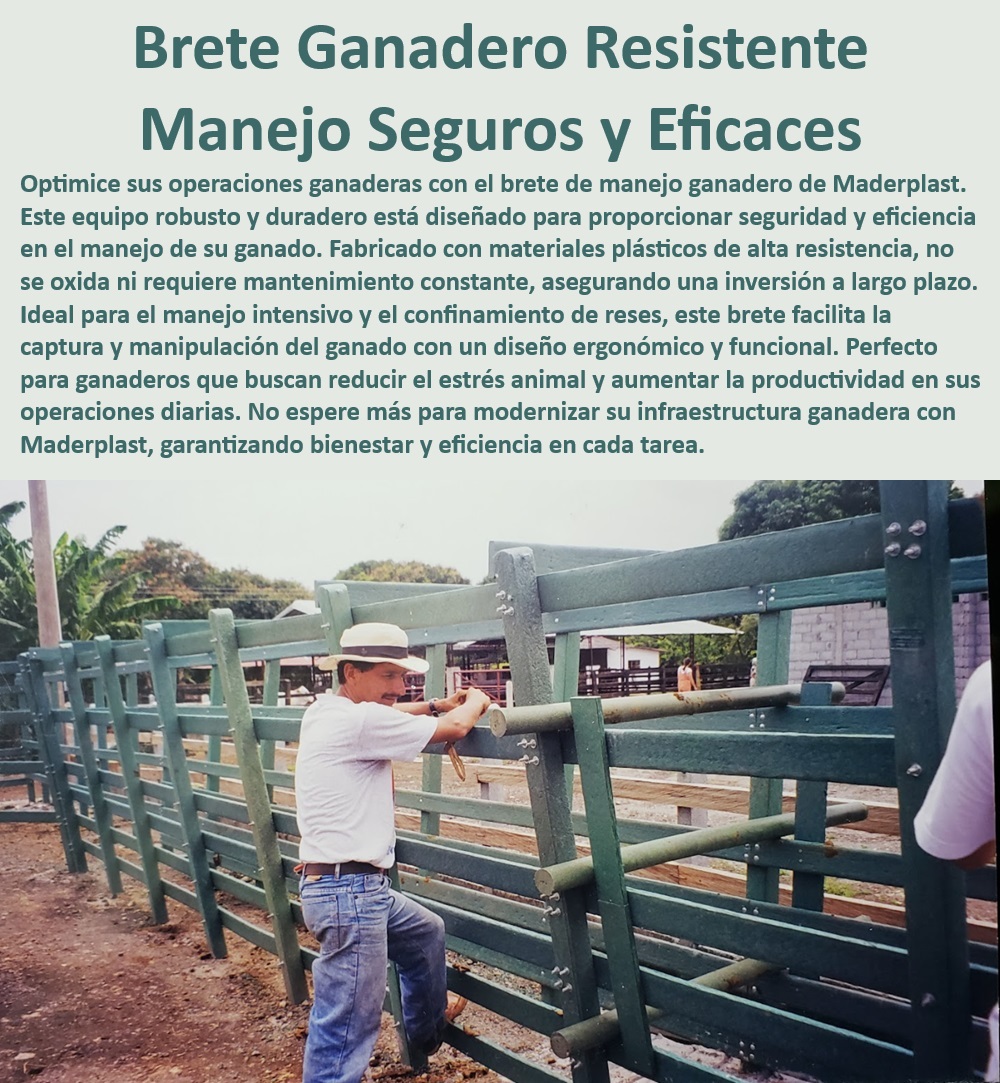 Brete De Manejo Ganadero Brete De Captura Trabajo Calceta Ganadera Maderplast Equipos ganaderos duraderos, - Brete con durabilidad garantizada, - Manejo seguro de ganado bovino, - Brete para engorde de ganado, - Equipos ganaderos de plástico resistente, - Corrales de alta resistencia, - Corral para manejo intensivo de ganado, - ¿Qué sistema de manejo ganadero reduce el estrés animal?, - Brete de confinamiento anti-estrés, - Corrales anti-vandalismo para ganado, - Brete de captura para ganado, - Sistema de manejo ganadero avanzado, - Corrales para ganadería tecnificada, - Corrales de confinamiento seguro, - Soluciones ganaderas de alta calidad, - ¿Cuál es el mejor brete para captura y manejo de ganado?, - Brete para plantas de faenado, - Corral de manejo ganadero eficiente, - Brete ganadero resistente, - ¿Cómo optimizar el manejo del ganado con bretes eficientes?, - Equipo ganadero de manejo seguro, - Brete resistente a la intemperie, - ¿Qué brete ganadero es más seguro y duradero?, - Soluciones para manejo ganadero intensivo, - Sistema modular para manejo ganadero, - ¿Dónde encontrar bretes ganaderos sin mantenimiento constante?, - Brete sin mantenimiento constante, - Brete de fácil mantenimiento, - Rampa de carga robusta, - Brete con diseño ergonómico 0 Brete ganado Rampa para cargar ganado robusta y segura Corral de manejo ganadero Brete de engorde de ganado Corral de confinamiento ganadero res Brete De Manejo Ganadero Brete De Captura Trabajo Calceta Ganadera Maderplast 0 Brete ganado, , Rampa para cargar ganado robusta y segura, , Corral de manejo ganadero, , Brete de engorde de ganado, Corral de confinamiento ganadero res