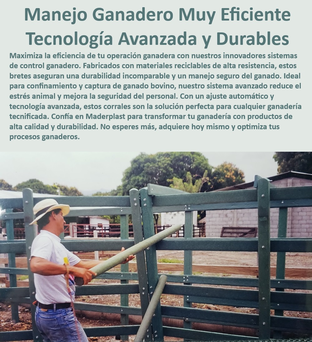 Brete De Manejo Ganadero Brete De Captura Trabajo Calceta Ganadera Maderplast Sistema ganadero para optimizar procesos, - Manejo ganadero con tecnología avanzada, - Sistema ganadero avanzado y seguro, - Corral de confinamiento seguro para ganado, - Corral ganadero con ajuste automático, - ¿Qué corral es ideal para confinamiento seguro de ganado?, - Corral de manejo bovino eficiente, - Control ganadero con tecnología Maderplast, - Corral de confinamiento para ganado bovino, - Sistema de confinamiento ganadero eficiente, - Brete ganadero con ajuste automático, - ¿Cómo optimizar el manejo ganadero con tecnología avanzada?, - Control ganadero tecnificado eficiente, - Sistema modular para manejo de ganado, - Brete de captura ganadero seguro, - Corral modular para ganado bovino, - Corral tecnificado para manejo seguro, - ¿Qué brete ganadero ofrece ajuste automático y seguridad?, - Brete de captura con alta tecnología, - Brete ganadero con control avanzado, - Brete ganadero duradero y seguro, - Sistema ganadero avanzado y durable, - Brete con ajuste automático para ganado, - Corral de manejo tecnificado durable, - Brete ganadero de alta resistencia, - ¿Cómo reducir el estrés en el manejo de ganado bovino?, - Manejo ganadero tecnificado Maderplast, - Sistema de control ganadero avanzado, - ¿Cuál es el mejor brete para manejo seguro de ganado?, - Brete para manejo eficiente de ganado 0 Sisetma de control ganadero con tecnología avanzada Corral de confinamiento ganadero Brete captura Brete para ganado bovino con ajuste automático Brete De Manejo Ganadero Brete De Captura Trabajo Calceta Ganadera Maderplast 0 Sisetma de control ganadero con tecnología avanzada, , Corral de confinamiento ganadero, , Brete captura, , Brete para ganado bovino con ajuste automático