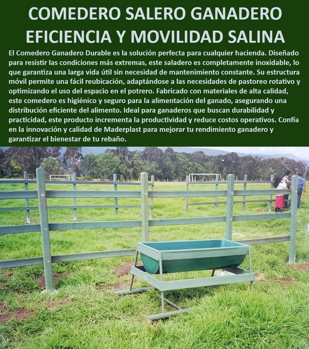 Comedero Saladero De Ganadería Saladeros Fijos y Portátiles Fácil de Mover Maderplast Saladero resistente para alimentación bovina, - Comedero ganadero de alta eficiencia, - Comedero ganadero de larga vida útil, - Saladero móvil para ganado bovino, - Saladero ganadero con estructura robusta, - ¿Cómo optimizar la alimentación de ganado en pastoreo?, - Comedero portátil para manejo eficiente, - ¿Cuál es el mejor comedero móvil para ganado bovino?, - Comedero portátil para alimentación eficiente, - Comedero para ganado con baja mantención, - Saladero ganadero durable y seguro, - Comedero con diseño optimizado para ganado, - Saladero de alta durabilidad y movilidad, - Saladero inoxidable para fincas ganaderas, - ¿Qué saladero ganadero reduce costos operativos?, - Saladero ganadero con protección duradera, - Comedero inoxidable para haciendas, - Comedero portátil para ganado en pastoreo, - Comedero ganadero de alto rendimiento, - Saladero ganadero con diseño higiénico, - Comedero ganadero para pastoreo rotativo, - Comedero móvil adaptable a potrero, - Saladero ganadero que reduce costos, - Saladero móvil para pastoreo eficiente, - Comedero móvil para alimentación ganadera, - Comedero ganadero resistente al clima, - Saladero ganadero con estructura móvil, - ¿Cómo elegir un saladero resistente para haciendas?, - ¿Qué comedero ganadero es más duradero y eficiente?, - Saladero de fácil reubicación ganadera 0 Saladeros de concreto plástico Como hacer comederos para vacas Saladeros para ganado con techo resistente Saladeros con techado protección Comedero Saladero De Ganadería Saladeros Fijos y Portátiles Fácil de Mover Maderplast 0 Saladeros de concreto plástico, Como hacer comederos para vacas , Saladeros para ganado con techo resistente , Saladeros con techado protección