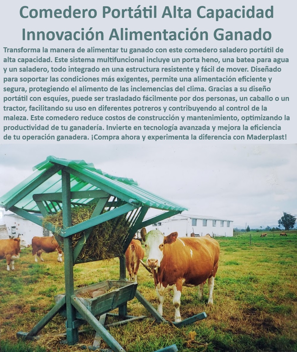 Comedero saladero de ganadería Saladero Móvil portátil fácil de Mover Maderplast Alimentadores móviles para ganado en diferentes terrenos, - Comedero saladero portátil con diseño multifuncional, - Alimentación eficiente para ganado en climas extremos, - Comederos móviles que reducen costos de mantenimiento, - Soluciones en alimentación para ganadería tecnificada, - Comederos con protección climática para alimentación de ganado, - Comederos portátiles de alta calidad para manejo ganadero Maderplast, - Comedero portátil para ganado con alta capacidad, - Estructura portátil para alimentación segura y eficiente, - Comedero portátil con porta heno y saladero integrado, - Sistema de alimentación portátil para diferentes potreros, - ¿Cuál es el mejor comedero para ganado en climas extremos?, - Innovación en comederos ganaderos para mayor eficiencia, - Tecnología avanzada en comederos para ganadería moderna, - Comederos que protegen el alimento de las inclemencias del clima, - Comederos móviles para ganado de fácil traslado, - Alimentación eficiente para ganado en comederos móviles, - Soluciones móviles en alimentación de ganado, - Innovación en alimentación ganadera con comederos portátiles, - Comederos portátiles que optimizan la ganadería moderna, - ¿Qué comedero portátil es ideal para alimentar ganado en potreros?, - ¿Cómo mejorar la productividad ganadera con comederos portátiles?, - Comederos resistentes al clima con diseño portátil, - ¿Qué comedero portátil reduce costos de mantenimiento y construcción?, - Comederos portátiles que mejoran la eficiencia ganadera, - Comederos de alta durabilidad para ganadería extensiva, - Comederos portátiles que optimizan la productividad ganadera, - Comederos portátiles que facilitan el manejo del ganado, - Comederos saladeros resistentes para ganado en pastoreo, - ¿Cómo optimizar la alimentación del ganado con comederos móviles? 0 Comederos para engorde Comederos con techo para protección climática Comederos anti robo Saladeros de bajo mantenimiento Alimentadores Comedero Comedero saladero de ganadería Saladero Móvil portátil fácil de Mover Maderplast 0 Comederos para engorde , Comederos con techo para protección climática , Comederos anti robo , Saladeros de bajo mantenimiento , Alimentadores Comedero