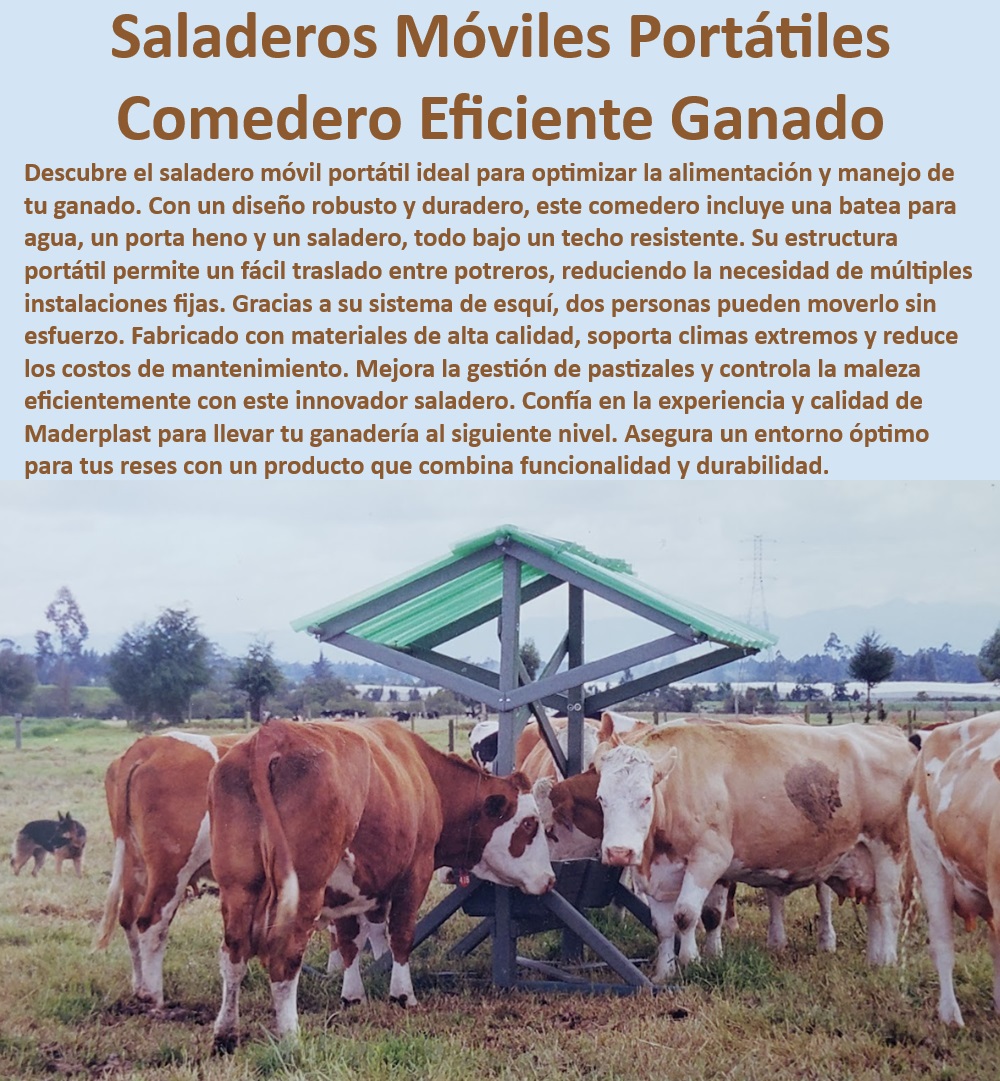 Comedero saladero de ganadería Saladero Móvil portátil fácil de Mover Maderplast Comedero móvil para grandes rebaños, - Saladero para ganadería tecnificada, - Comedero robusto y duradero, - Saladero ganadero con techo resistente, - Saladero móvil para terrenos difíciles, - Comedero portátil con bajo mantenimiento, - Sistema de alimentación ganadera móvil, - Comedero portátil de bajo mantenimiento, - Saladero de fácil transporte para ganado, - Comedero resistente para uso continuo, - ¿Cuál es el mejor saladero móvil para ganado?, - ¿Dónde encontrar un comedero portátil resistente para ganado?, - Comedero para ganadería intensiva, - Comedero móvil para engorde intensivo, - ¿Qué saladero es más fácil de mover entre potreros?, - Saladero con soporte para clima extremo, - Saladero resistente para pasto, - Saladero móvil para reducir costos, - Saladero móvil anti-corrosión, - ¿Qué sistema de alimentación ganadera reduce los costos de mantenimiento?, - Comedero para manejo eficiente de pastizales, - Comedero portátil de alta eficiencia, - Saladero móvil para traslado fácil, - Comedero para optimizar manejo de pasto, - Saladero diseñado para ganadería moderna, - Saladero móvil para ganado, - Saladero portátil con sistema modular, - Comedero para engorde de ganado, - Comedero con sistema de esquí fácil de mover, - ¿Cómo mejorar la alimentación del ganado con comederos portátiles? 0 Saladeros para pasto Comedero para engorde de ganado de alta eficiencia Comederos resistentes para uso intensivo Comederos ganado garantizado 20 Comedero saladero de ganadería Saladero Móvil portátil fácil de Mover Maderplast 0 Saladeros para pasto , Comedero para engorde de ganado de alta eficiencia , Comederos resistentes para uso intensivo , Comederos ganado garantizado 20