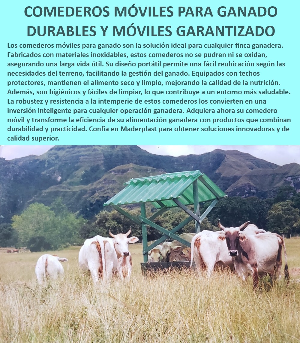 Comederos saladeros de ganado móvil Saladero portátil fácil de Mover Maderplast Comederos ganaderos inoxidables y resistentes, - ¿Cuál es el comedero más resistente para uso ganadero?, - ¿Cuál es el mejor comedero móvil para ganado?, - Comedero robusto para ganado en campo abierto, - Saladero portátil fácil de mover ganado, - ¿Qué comedero portátil para ganado dura más?, - Comedero móvil para alimentación eficiente, - Comederos ganaderos con protección climática, - Comedero portátil para ganado resistente, - Comedero ganadero con diseño resistente, - Comedero portátil para ganadería tecnificada, - Saladeros portátiles para ganado bovino, - Comederos móviles para ganado duraderos, - ¿Cómo mantener el alimento del ganado seco y limpio?, - Comedero móvil para manejo ganadero eficiente, - Comedero móvil para optimizar alimentación, - Comederos móviles para alimentación ganadera, - Comedero ganadero con movilidad garantizada, - Comedero ganadero con techo protector, - Comedero con techo para protección de alimento, - ¿Qué saladero móvil es ideal para ganado bovino?, - Comedero duradero para alimentación bovina, - Saladero duradero para ganado móvil, - Comedero resistente para granjas y haciendas, - Comedero portátil para ganadería moderna, - Comedero móvil para ganado resistente a la intemperie, - Saladero portátil con estructura duradera, - Comedero móvil de alta durabilidad, - Comedero portátil para campo ganadero, - Comedero para ganado con fácil movilidad 0 Comederos y saladeros para ganado con techo Bebederos duraderos Saladeros para engorde de ganado bovino Saladeros portatiles ganado Comedero SAL Comederos saladeros de ganado móvil Saladero portátil fácil de Mover Maderplast 0 Comederos y saladeros para ganado con techo , Bebederos duraderos , Saladeros para engorde de ganado bovino , Saladeros portatiles ganado , Comedero SAL