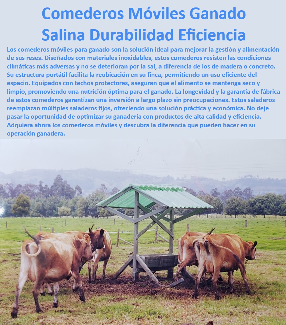 Comederos saladeros de ganado móvil Saladero portátil fácil de Mover Maderplast Comedero portátil para fincas - maximización del espacio, - Saladero portátil eficiente - ahorro en mantenimiento, - Saladero para ganado - durabilidad comprobada, - Saladero de ganadería moderna - alta resistencia, - Comedero para reses - solución duradera, - Comedero salinizado - prevención de corrosión, - ¿Cómo optimizar la alimentación del ganado con un comedero móvil?, - ¿Cuál es la solución más eficiente para gestionar la alimentación del ganado?, - Comedero saladero - eficiencia en alimentación ganadera, - Saladero con techo protector - preservación de alimentos, - Saladero portátil para ganadería - alta durabilidad, - Comedero duradero - inversión a largo plazo, - Saladero transportable - flexibilidad en operaciones, - Comedero de ganado móvil - fácil reubicación, - Saladero ganadero - resistencia a climas adversos, - Comedero estable para ganado - óptima alimentación, - ¿Qué comedero portátil es el más duradero para ganado?, - Saladero fácil de mover - adaptabilidad ganadera, - Comederos móviles - optimización del espacio, - Comedero adaptado a climas extremos - innovación en diseño, - Saladero optimizado - solución todo en uno, - Saladero de alta eficiencia - manejo ganadero intensivo, - Comedero multifuncional - portabilidad y eficiencia, - Saladero resistente - ideal para condiciones difíciles, - ¿Cuál es el mejor saladero móvil para ganadería intensiva?, - ¿Qué comedero resiste mejor las condiciones climáticas adversas?, - Saladero inteligente - gestión avanzada de ganado, - Comedero innovador - solución portátil, - Comedero portátil - fácil manejo y traslado, - Comedero móvil para ganado - diseño resistente 0 Saladeros inteligentes para manejo ganadero Comederos de ganado con alta eficiencia y durabilidad Comedero innovador ganado Comederos estables Sal Comederos saladeros de ganado móvil Saladero portátil fácil de Mover Maderplast 0 Saladeros inteligentes para manejo ganadero , Comederos de ganado con alta eficiencia y durabilidad , Comedero innovador ganado , Comederos estables Sal