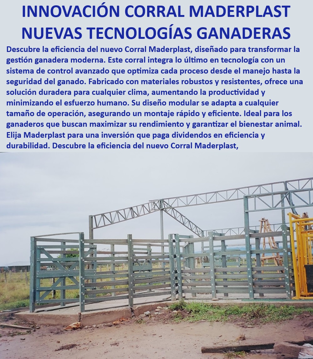 Como se Hace un Corral Diseño de Corrales con Techo Maderplast Corral resistente a clima extremo - tecnología innovadora, - Corral para ganadería intensiva - productividad mejorada, - Corral Maderplast innovador - alta durabilidad, - Corral de manejo avanzado - optimización ganadera, - Corral ganadero modular - eficiencia en ganadería moderna, - ¿Cómo elegir un corral resistente para ganadería intensiva?, - Corral con control avanzado - manejo moderno de ganado, - Bretes ganaderos duraderos - material de alta calidad, - ¿Cuál es el mejor corral modular para manejo de ganado?, - Sistema de selección ganadera - precisión garantizada, - Corral de alta resistencia - materiales robustos, - Corral para ganado bravo - máxima seguridad, - ¿Qué ventajas tiene un corral ganadero con sistema de selección?, - Tecnología en corrales ganaderos - innovación continua, - Corral ganadero con selección - durabilidad y eficiencia, - Sistema modular ganadero - diseño adaptable, - Sistema de corrales modulares - expansión fácil, - Manga ganadera robusta - control preciso del ganado, - Sistema de manejo ganadero - tecnología avanzada, - Corral ganadero con embarcadero - diseño práctico, - ¿Cuál es el mejor corral para ganado bravo con techo resistente?, - Corrales ganaderos seguros - bienestar animal, - Corral para manejo animal - eficiencia y durabilidad, - Sistema de bretes ganaderos - diseño avanzado, - ¿Qué corral ganadero ofrece máxima seguridad y control?, - Sistema modular para ganado - montaje rápido y eficiente, - Corral con techo resistente - protección completa, - Corral ganadero con selección - precisión y control, - Manejo ganadero eficiente - seguridad y confort, - Corral de bretes innovador - gestión eficiente del ganado 0 Sistema de bretes ganaderos Manga de selección de ganado bravo con precisión Manga ganadera Embarcadero ganadero con diseño innovador Sistema control ganados Como se Hace un Corral Diseño de Corrales con Techo Maderplast 0 Sistema de bretes ganaderos,   Manga de selección de ganado bravo con precisión, , Manga ganadera, , Embarcadero ganadero con diseño innovador, , Sistema control ganados