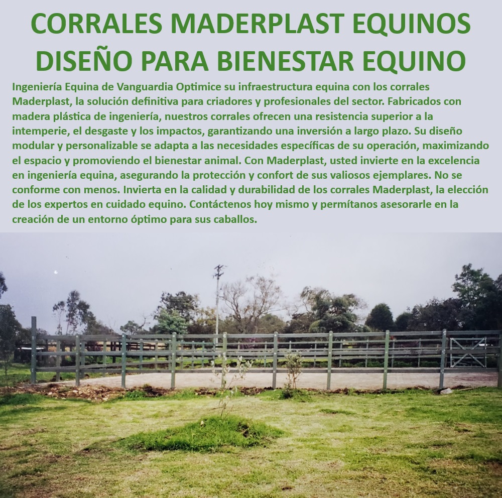 Corral para Caballos Finos Corrales Exhibición de Caballos Pista Equinos Maderplast Corral para caballos finos de alta resistencia, - Corrales equinos resistentes y modulares, - Corral para caballos con estructura robusta, - Corrales para caballos de calidad profesional, - Corral equino con diseño avanzado, - Corrales para caballos de alta durabilidad, - ¿Qué tipo de corral es ideal para exhibiciones equinas?, - Corral equino para exhibiciones y entrenamientos, - Corrales para caballos con diseño premium, - Corrales para caballos de alta seguridad, - Corrales para caballos con protección UV, - Corral para caballos resistente a la intemperie, - Corrales para caballos con sistema seguro, - ¿Cómo garantizar la durabilidad de un corral para caballos?, - Corrales para caballos con sujeción segura, - Corrales para caballos en pistas de exhibición, - Corrales para exhibición de caballos, - ¿Cuál es el mejor corral para caballos finos?, - ¿Cómo proteger a los caballos en corrales exteriores?, - Corral para caballos finos de alta calidad, - Corral para caballos finos duradero, - Estructura modular para manejo de caballos finos, - Corral para caballos con tecnología innovadora, - Corrales para caballos con materiales duraderos, - Sistema de sujeción en corrales para caballos, - Corral equino con diseño anti estrés, - ¿Qué corral equino ofrece mayor seguridad?, - Corrales modulares para caballos finos, - Corral equino con tecnología avanzada, - Corrales equinos resistentes a la intemperie 0 Encierro caballos Corral caballos Manga equina Corral para caballos finos resistente a la intemperie Corral para caballos duradero y res Corral para Caballos Finos Corrales Exhibición de Caballos Pista Equinos Maderplast 0 Encierro caballos, , Corral caballos, , Manga equina, , Corral para caballos finos resistente a la intemperie, , Corral para caballos duradero y res