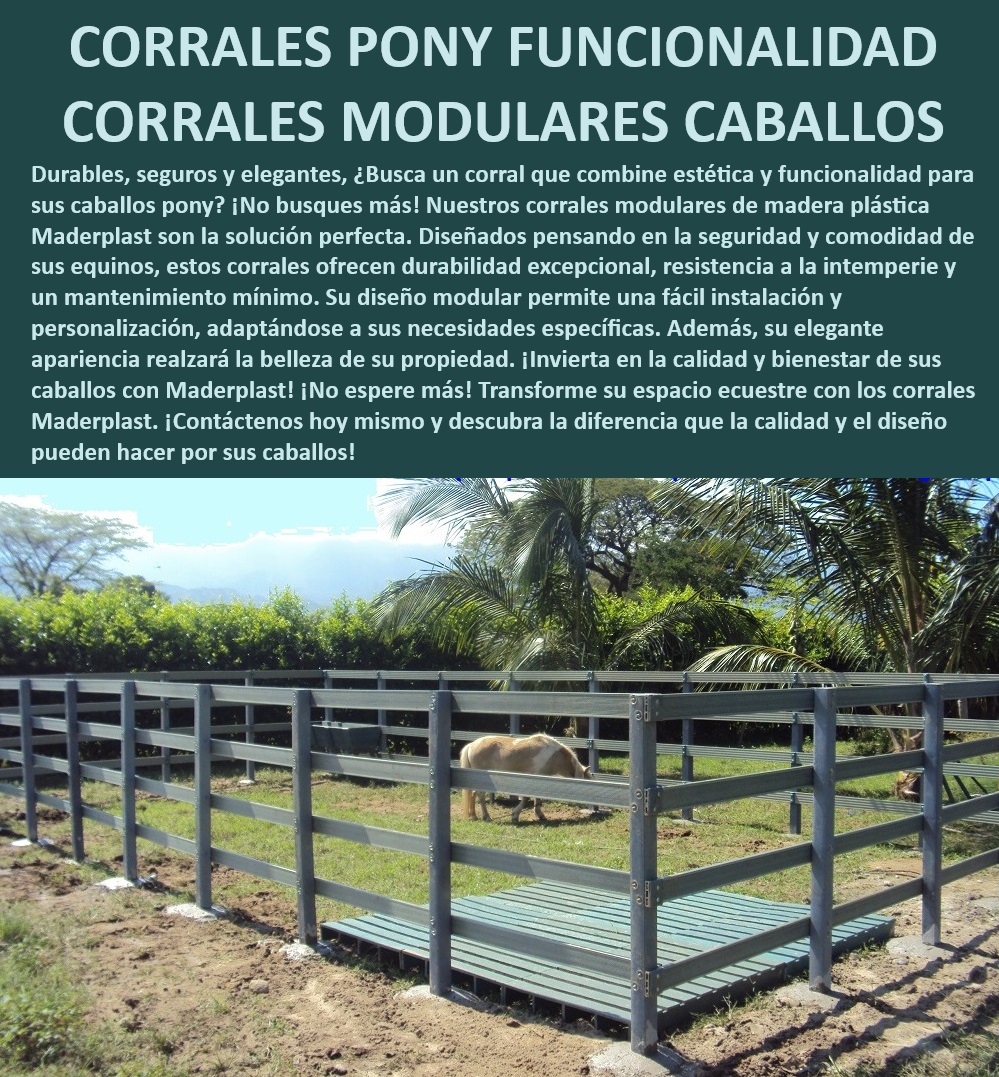 Corral para caballos Corrales exhibición de caballos Establos equinos Maderplast Corral equino con tecnología avanzada - instalación rápida, - Corral modular para caballos - alta durabilidad y seguridad, - ¿Cómo elegir un corral modular para caballos?, - Corrales modulares de caballos - fáciles de montar y mover, - ¿Cuál es el mejor corral modular para caballos?, - Sistema modular de corrales equinos - alta calidad, - Corral equino de fácil instalación - resistente a la intemperie, - Corral modular para caballos pony - resistente y elegante, - Corral ecuestre modular - resistencia al clima extremo, - Corrales para caballos personalizables - estética y funcionalidad, - ¿Dónde comprar corrales modulares para caballos seguros?, - Corral de alta resistencia para caballos - modular y adaptable, - Establos modulares para equinos - personalizables y duraderos, - ¿Qué corral para caballos es fácil de instalar?, - Corrales modulares para caballos - fácil mantenimiento, - Corral para caballos resistente - bajo mantenimiento, - ¿Qué corral equino ofrece mayor durabilidad?, - Corrales modulares para eventos equinos - instalación sencilla, - Corral para caballos versátil - montaje fácil y rápido, - Corrales seguros para caballos - con diseño modular, - Corrales para caballos de Maderplast - funcionalidad y durabilidad, - Corral para caballos modular - diseño ergonómico, - Corral para caballos equinos - robusto y confiable, - Corrales modulares Maderplast - adaptables y personalizados, - Corrales para caballos pony - diseño elegante y seguro, - Corral equino con mínimo mantenimiento - larga vida útil, - Establo modular para caballos - durabilidad garantizada, - Corrales para caballos seguros - con alta durabilidad, - Corral para exhibición equina - estético y funcional, - Corral para equinos personalizado - adaptable a necesidades 0 caballo pony Manga equina con sistema de sujeción seguro Corral ecuestre fácil mantenimiento Corral de trote de caballos con alta durabilidad 00 Corral para caballos Corrales exhibición de caballos Establos equinos Maderplast 0 caballo pony Manga equina con sistema de sujeción seguro,  Corral ecuestre fácil mantenimiento, , Corral de trote de caballos con alta durabilidad,  00