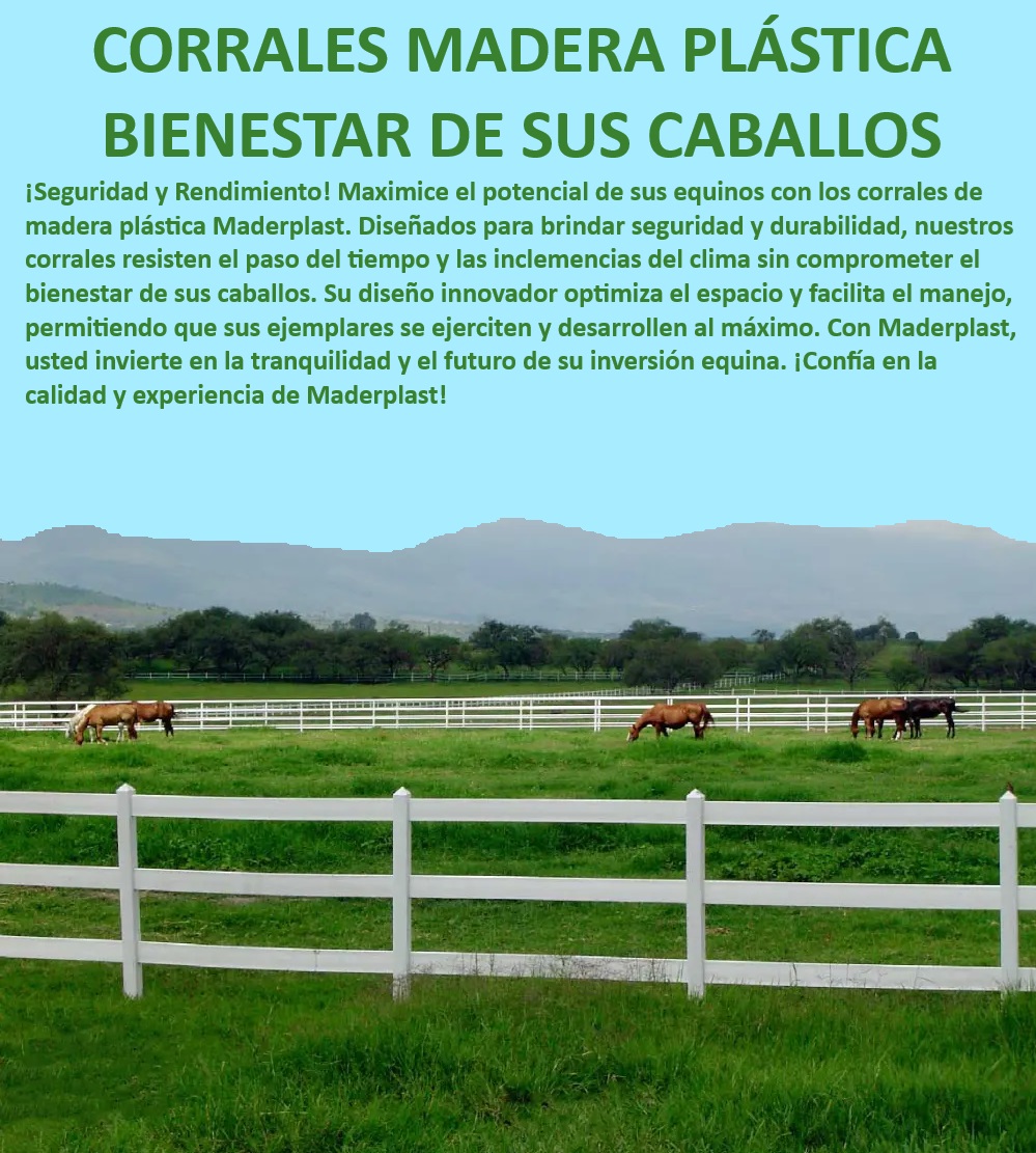 Corral para caballos Corrales exhibición de caballos Establos equinos Maderplast Corrales para caballos con garantía - inversión a largo plazo, - Corrales blancos para caballos - estilo y durabilidad, - Cercados equinos modernos - tecnología avanzada, - Corrales para exhibición - diseño atractivo y funcional, - Corrales equinos Maderplast - tecnología innovadora, - Corral para caballos - durabilidad y seguridad óptima, - Cercas equinas duraderas - sin mantenimiento constante, - Cercado para caballos seguro - sin riesgo de lesiones, - Corral equino modular - adaptabilidad y expansión, - ¿Cómo elegir corrales resistentes para caballos?, - Corral para caballos de alta resistencia - manejo eficiente, - Corral equino personalizado - diseño adaptado a sus necesidades, - Corral equino con protección UV - resistencia al sol, - Corrales de madera plástica - resistencia al paso del tiempo, - Corrales seguros para caballos - protección total, - Corrales para caballos con pista - entrenamiento eficaz, - Corrales para caballos robustos - larga vida útil, - ¿Cuál es el mejor corral para caballos duradero y seguro?, - Sistema de corrales equinos - manejo seguro y fácil, - Corrales para caballos de alto rendimiento - entrenamiento eficiente, - ¿Qué corral equino garantiza bienestar y seguridad?, - Corral equino resistente - ideal para clima extremo, - Establos equinos modulares - flexibilidad y comodidad, - Corrales con diseño innovador - estética y funcionalidad, - ¿Qué corral es ideal para caballos en exhibición?, - Establos para caballos - optimización de espacio, - Corral para caballos en pastoreo - manejo eficiente, - ¿Qué tipo de corral equino ofrece mayor durabilidad?, - Corral equino de fácil instalación - montaje rápido, - Recinto equino duradero - bienestar animal garantizado 0 color blanco Seguridad corral Recinto caballos Corral resistente optimiza tiempo Zona equina Corral con pista de paso para mejorar el Corral Corral para caballos Corrales exhibición de caballos Establos equinos Maderplast 0 color blanco Seguridad corral, , Recinto caballos, , Corral resistente optimiza tiempo, , Zona equina , Corral con pista de paso para mejorar el Corral