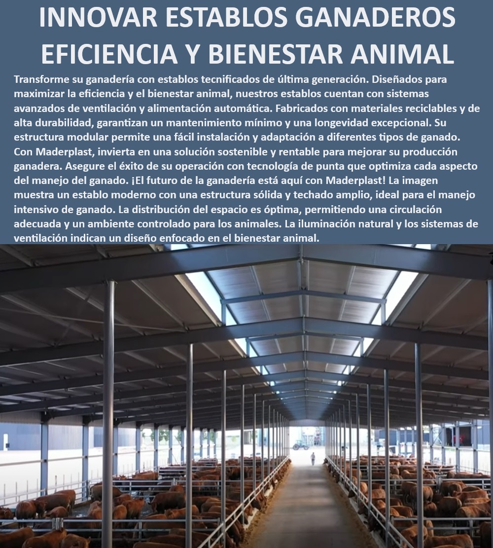 Corrales Estabulados Establos bovinos Diseño Corrales confinados Maderplast Establos de alta eficiencia para manejo ganadero, - Mantenimiento mínimo en establos de alta durabilidad, - Establos diseñados para maximizar la producción ganadera, - Construcción de establos con materiales reciclables, - ¿Qué establo ofrece tecnología avanzada y durabilidad para ganado?, - Establos tecnificados para ganadería intensiva Maderplast, - Establos ganaderos sostenibles y rentables, - ¿Cuáles son los beneficios de un establo automatizado para ganadería?, - Establos automatizados para optimización del manejo ganadero, - ¿Cuál es la mejor opción de establo para optimizar la producción ganadera?, - Establos tecnificados para producción ganadera eficiente, - Establos con estructura modular y adaptable, - Establos sostenibles para ganadería moderna, - Establos tecnificados para optimización de recursos, - Innovación en estabulación ganadera con bienestar animal, - Establos con sistemas de alimentación automática, - Establos ganaderos con estructura sólida y duradera, - Soluciones en estabulación tecnificada para ganadería, - Bienestar animal garantizado en establos Maderplast, - Sistemas de ventilación avanzada en establos ganaderos, - ¿Cómo mejorar la eficiencia en la ganadería con establos tecnificados?, - Establos modernos para ganadería intensiva, - Establos Maderplast con enfoque en bienestar animal, - ¿Qué establos garantizan el bienestar animal en la ganadería intensiva?, - Establos ganaderos con iluminación natural y ventilación, - Establos ganaderos con tecnología de punta, - Establos modulares adaptables a cualquier tipo de ganado, - Diseño de establos para manejo eficiente del ganado, - Eficiencia operativa en establos de última generación, - Establos automatizados con sistemas avanzados0 Corrales para ganadería intensiva Establos automatizados Establos confinados Construcción de establos con enfoque bienestar animal Diseños Corral Corrales Estabulados Establos bovinos Diseño Corrales confinados Maderplast 0 Corrales para ganadería intensiva, , Establos automatizados, , Establos confinados, , Construcción de establos con enfoque bienestar animal , Diseños Corral