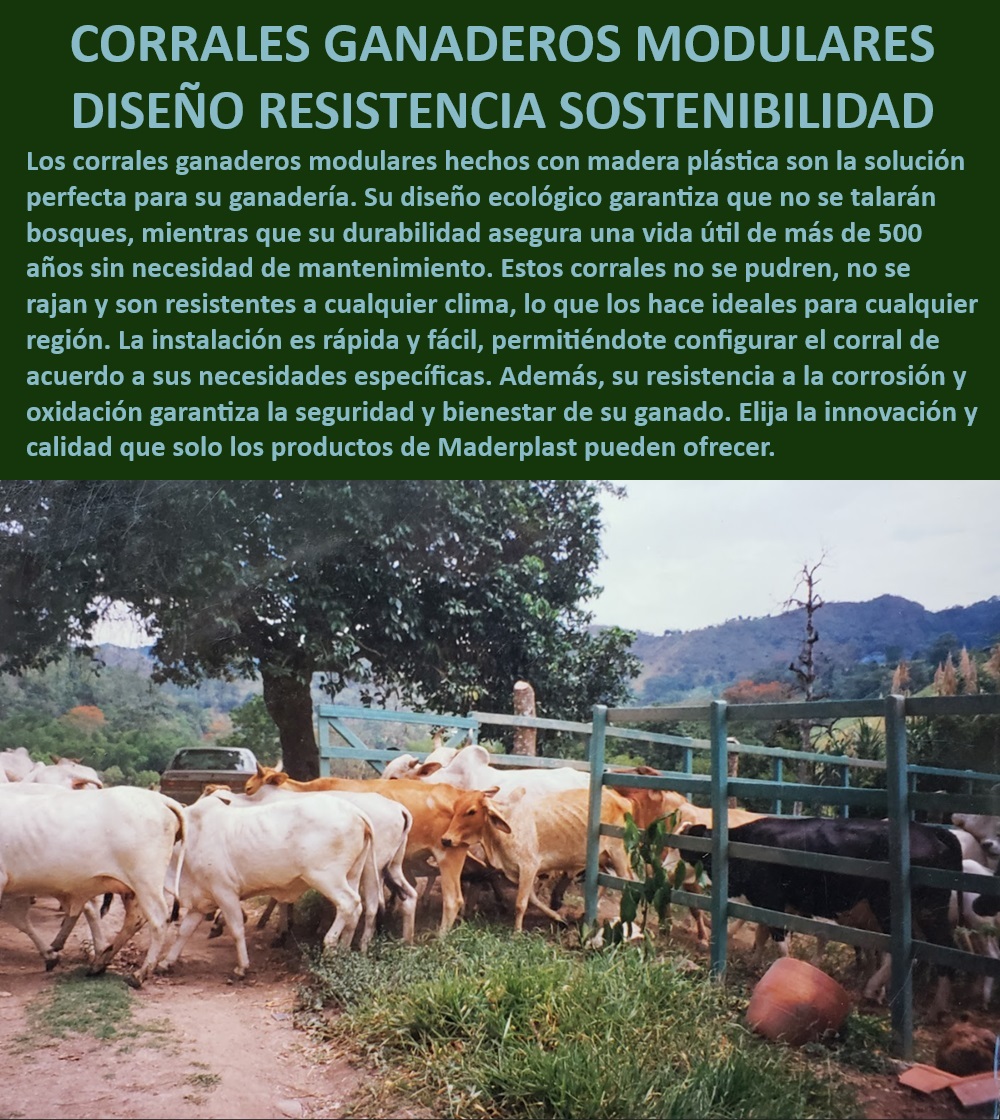 Corrales Fáciles De Instalar Corral Ecológico Corral Madera Plástica Maderplast Corrales ganaderos sin oxidación - alta durabilidad, - Corral modular ganadero - diseño resistente y adaptable, - Corral ecológico para ganadería - fácil instalación, - ¿Qué corral para ganado es resistente y fácil de instalar?, - Corrales ganaderos sostenibles - fáciles de instalar, - Corral para ganado sostenible - resistente al desgaste, - Corral modular para ganadería - diseño ecológico, - Corral ganadero ecológico - sin necesidad de mantenimiento, - Corral para ganadería ecológica - alta durabilidad, - Corral de madera plástica modular - ideal para exteriores, - Corral ganadero modular - fácil instalación, - Corral para ganado duradero - sin mantenimiento, - Corral modular resistente - fácil instalación, - Corrales para ganado resistentes - sin mantenimiento, - Corral ganadero adaptable - ideal para cualquier clima, - Corrales para exteriores - resistentes al clima, - Corrales ganaderos modulares duraderos - sin necesidad de pintura, - ¿Dónde comprar corrales ganaderos ecológicos?, - ¿Cómo instalar un corral ganadero resistente?, - Corral de alta calidad para ganado - modular y ecológico, - Corral para ganado adaptable - sin mantenimiento, - Corrales para ganado con alta resistencia - instalación rápida, - Corral de madera plástica - larga durabilidad, - Corral modular de madera plástica - sin oxidación, - Corrales ganaderos ecológicos - sostenibilidad garantizada, - Corrales ganaderos adaptables - tecnología avanzada, - Corral ganadero sin oxidación - resistente a la intemperie, - ¿Qué corral modular es mejor para ganado?, - Corral ganadero modular adaptable - sin oxidación, - ¿Cuál es el corral más duradero para exteriores? 0 Corral sin oxidación Corral para exteriores Corrales ganaderos de alta calidad Corral ganadero modular y adaptable Corral madera plástica Corral Corrales Fáciles De Instalar Corral Ecológico Corral Madera Plástica Maderplast 0 Corral sin oxidación , Corral para exteriores , Corrales ganaderos de alta calidad , Corral ganadero modular y adaptable , Corral madera plástica Corral