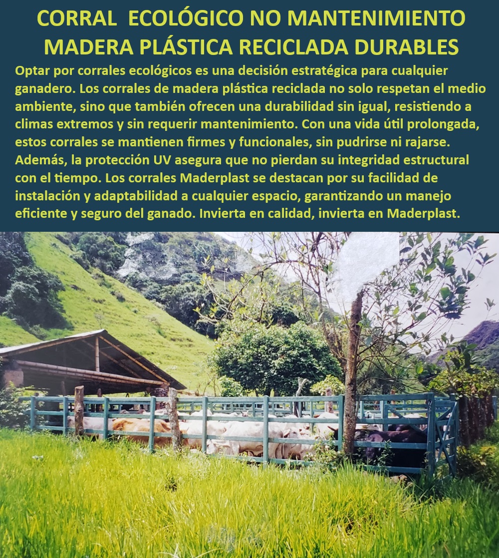 Corrales Fáciles De Instalar Corral Ecológico Corral Madera Plástica Maderplast Corrales ganaderos ecológicos durables, - Optimización en estabulación sin mantenimiento, - Establos con mínima intervención de mantenimiento, - Corral plástico con protección ambiental, - Corral ganadero resistente a climas extremos, - Eficiencia y durabilidad en corrales Maderplast, - ¿Qué corrales resisten climas extremos sin mantenimiento?, - Estructuras ganaderas sin mantenimiento, - ¿Cuál es el mejor corral sin mantenimiento para ganado?, - Diseño modular de corrales ecológicos, - Corrales con vida útil prolongada, - Establos ecológicos para ganadería moderna, - Corrales seguros y durables para ganado, - Corral de madera plástica reciclada, - ¿Qué ventajas tienen los corrales de madera plástica reciclada?, - Corrales sin mantenimiento para ganado, - Corrales sostenibles para fincas ganaderas, - Corrales que no se pudren ni rajan, - Materiales reciclados para corrales ganaderos, - Instalación rápida de corrales ganaderos, - ¿Qué corral es más duradero para ganadería ecológica?, - ¿Dónde comprar corrales ganaderos ecológicos durables?, - Manejo eficiente de ganado ecológico, - Soluciones avanzadas para ganadería ecológica, - Corrales ecológicos con tecnología avanzada, - Protección UV en corrales ganaderos, - Innovación en manejo de ganado sostenible, - Soluciones sostenibles para estabulación, - Corrales con protección UV duradera, - Corrales plásticos para fincas ganaderas 0 Corrales ecológicos sin mantenimiento Corrales ganaderos con protección UV Corral de madera plástica reciclada Corrales ganaderos con larga vida 0 Corrales Fáciles De Instalar Corral Ecológico Corral Madera Plástica Maderplast 0 Corrales ecológicos sin mantenimiento , Corrales ganaderos con protección UV , Corral de madera plástica reciclada , Corrales ganaderos con larga vida 0