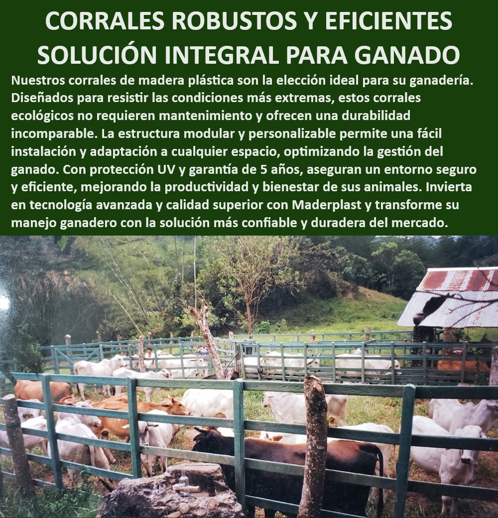 Corrales Fáciles De Instalar Corral Plástico Ecológico Corral Madera Plástica Maderplast Corral ganadero con protección UV, - ¿Qué corrales son mejores para ganado en condiciones extremas?, - Corral ecológico para ganadería, - Corral eficiente para manejo de ganado, - Corrales modulares personalizables, - Corral ganadero con estructura modular, - Corrales de bajo mantenimiento, - Corrales modulares robustos, - ¿Cuál es la mejor opción de corrales con garantía para ganadería?, - Corral profesional para ganadería, - Corrales de madera plástica avanzada, - Corrales ganaderos de alta calidad, - Corral ganadero de madera plástica, - Corral seguro para ganado, - ¿Cuál es el corral más duradero para ganadería?, - ¿Cómo mejorar la eficiencia en el manejo de ganado con corrales modulares?, - Corral adaptable para cualquier espacio, - Corrales duraderos para ganado, - ¿Dónde comprar corrales ecológicos sin mantenimiento?, - Corrales ganaderos con diseño modular, - Corrales con garantía de 5 años, - Corrales con tecnología avanzada, - Corrales de fácil instalación, - Corrales ecológicos sin mantenimiento, - Corral personalizado para ganadería, - Corrales resistentes a condiciones extremas, - Corral resistente a la intemperie, - Corral eficiente para manejo seguro, - Corral ganadero sin mantenimiento, - Corrales duraderos para ganadería intensiva 0 Corrales de madera plástica Corrales modulares y personalizables Corrales ganaderos con diseño modular Corral para ganadería profesional Corrales Fáciles De Instalar Corral Plástico Ecológico Corral Madera Plástica Maderplast 0 Corrales de madera plástica , Corrales modulares y personalizables , Corrales ganaderos con diseño modular , Corral para ganadería profesional