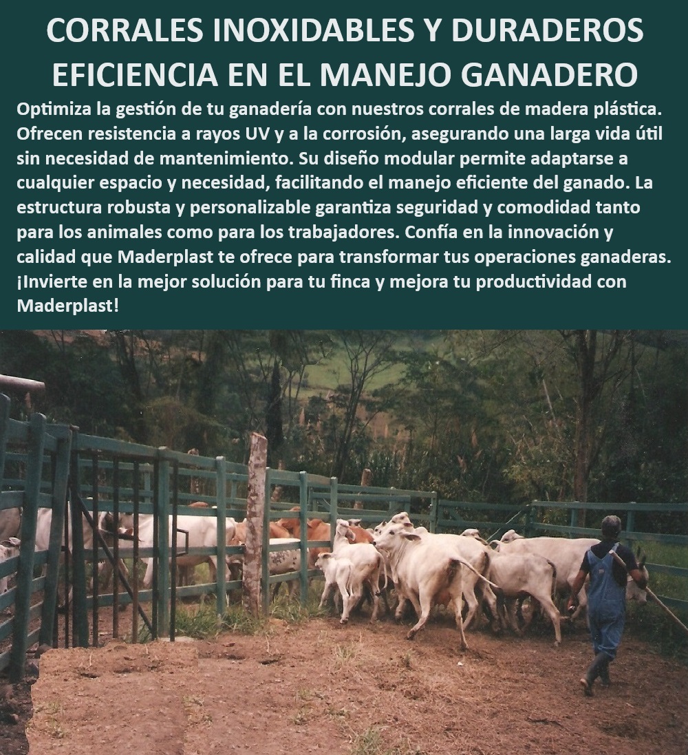 Corrales Fáciles De Instalar Corral Plástico Ecológico Corral Madera Plástica Maderplast Corrales ganaderos con resistencia UV, - Corral ganadero sin mantenimiento constante, - Corrales para manejo seguro de ganado, - Corrales ganaderos de ingeniería avanzada, - Corrales ganaderos sin corrosión, - Corrales ganaderos con estructura flexible, - Corrales ecológicos para manejo ganadero, - Corral ganadero resistente y seguro, - ¿Cómo elegir un corral resistente a rayos UV?, - Corral ganadero de plástico resistente, - Corral para ganado con estructura robusta, - Corral para manejo eficiente de ganado, - Corral plástico ecológico para ganado, - Corrales modulares sin oxidación, - Corral sin mantenimiento para fincas, - Corral de plástico resistente a la intemperie, - ¿Qué tipo de corral ganadero es más duradero?, - Corral ganadero fácil de instalar, - ¿Cómo puedo optimizar el manejo de mi ganado?, - ¿Cuál es el mejor corral ganadero sin oxidación?, - Corrales personalizables para ganadería, - ¿Dónde encontrar corrales modulares para ganado?, - Corral modular personalizable para fincas, - Corral ganadero de larga vida útil, - Corral para ganado de bajo costo operativo, - Corrales ganaderos de bajo mantenimiento, - Corrales ganaderos modulares y duraderos, - Corral ganadero de alta resistencia, - Corrales para manejo eficiente en fincas, - Corrales modulares con alta durabilidad 0 Corrales resistentes a rayos UV Corral sin oxidación de alta resistencia Corral de perfiles plásticos Corral modular personalizable Corral  Corrales Fáciles De Instalar Corral Plástico Ecológico Corral Madera Plástica Maderplast 0 Corrales resistentes a rayos UV , Corral sin oxidación de alta resistencia, Corral de perfiles plásticos , Corral modular personalizable Corral