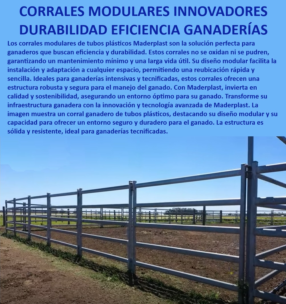 Corrales de Tubos Alta Durabilidad Bajo Mantenimiento Corrales Duraderos Maderplast Corrales ganaderos con infraestructura sostenible, - Corrales ganaderos con tecnología avanzada, - ¿Qué corral modular es el más resistente y duradero para ganadería?, - Corrales ganaderos con diseño ecológico, - Corrales modulares con larga vida útil, - Corrales modulares con diseño robusto y seguro, - Corrales para ganaderías intensivas y tecnificadas, - Corrales modulares para proyectos de bioarquitectura, - Corrales modulares para entornos exigentes, - ¿Cuáles son las ventajas de usar corrales modulares para ganado?, - ¿Qué corral ganadero ofrece fácil instalación y adaptación?, - Corrales de tubos plásticos para ganado bovino, - Corrales ganaderos de instalación rápida y sencilla, - Corrales plásticos modulares antirrobo y antivandalismo, - Corrales ganaderos que no se oxidan ni pudren, - Corrales modulares para manejo seguro de ganado, - Corrales modulares fáciles de instalar y reubicar, - Corrales modulares para manejo eficiente de ganado, - ¿Qué corral ganadero es más eficiente y seguro para mi ganado?, - Corrales ganaderos ideales para climas extremos, - Corrales ganaderos de tubos plásticos resistentes, - Corrales modulares de estructura resistente, - Corrales modulares ganaderos alta durabilidad, - Corrales para ganado resistente a la intemperie, - Corrales modulares adaptables a cualquier espacio, - ¿Cuál es el mejor corral modular para ganaderías tecnificadas?, - Corrales ganaderos con mínimo mantenimiento, - Corrales modulares de bajo mantenimiento y alta resistencia, - Corrales de diseño innovador para ganadería eficiente, - Corrales plásticos para ganaderías tecnificadas 0 Establos modulares Corrales de bioarquitectura Corrales plásticos Corrales tecnificados producción ganadera eficiente Establos tecncos 0 Corrales de Tubos Alta Durabilidad Bajo Mantenimiento Corrales Duraderos Maderplast 0 Establos modulares, , Corrales de bioarquitectura, , Corrales plásticos, , Corrales tecnificados producción ganadera eficiente, , Establos técnicos 0