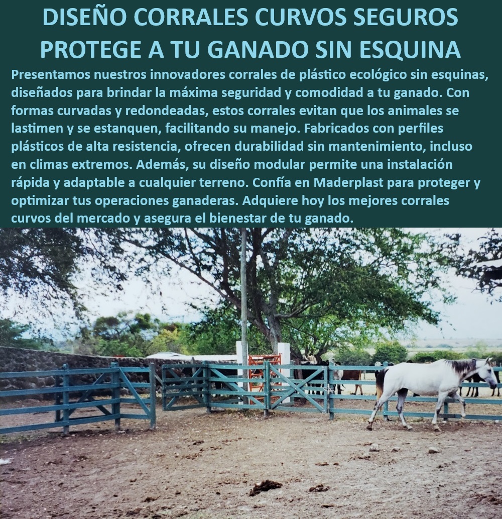 Corrales fáciles de instalar Corral plástico ecológico Maderplast Corral seguro y duradero para ganado, - Corral sin esquinas que evita lesiones, - Corrales curvos que optimizan el espacio, - ¿Qué tipo de corral es mejor para climas extremos?, - Corrales de plástico con diseño ergonómico, - Corrales ganaderos adaptables a cualquier terreno, - Corrales curvos para manejo eficiente de ganado, - Corral seguro y cómodo para ganado, - Corrales sin esquinas para bienestar animal, - ¿Dónde comprar corrales modulares curvos para ganado?, - Corral plástico ecológico antióxido, - ¿Qué corral evita que el ganado se lastime?, - Corrales modulares con fácil instalación, - Corrales curvos con diseño sin aristas, - Corral ecológico sin mantenimiento, - Corral ganadero de alta resistencia, - ¿Cuál es el corral más seguro para ganado sin esquinas?, - Corral curvo antiestancamiento para ganado, - Corrales de fácil mantenimiento, - Corral ecológico de plástico resistente, - Corral ganadero modular y adaptable, - Corral curvo sin esquinas para ganado, - Corral curvo con alta durabilidad, - ¿Cuál es el mejor corral sin esquinas para ganado?, - Corrales ganaderos seguros sin esquinas, - Corrales de plástico para manejo seguro, - Corral ganadero para climas extremos, - Corrales ganaderos fáciles de instalar, - Corrales modulares para ganado en climas extremos, - Corral plástico resistente a la intemperie 0 Corral anti vandalismo y antirrobo Corrales ganaderos para climas extremos Corrales de perfiles plásticos para ganado Ventajas de los corrales plásticos Corral Corrales fáciles de instalar Corral plástico ecológico Maderplast 0 Corral anti vandalismo y antirrobo , Corrales ganaderos para climas extremos , Corrales de perfiles plásticos para ganado , Ventajas de los corrales plásticos, Corral