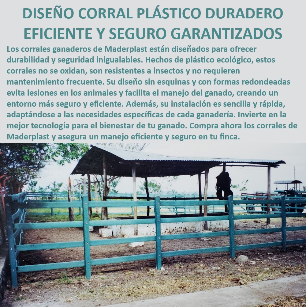 Corrales fáciles de instalar Corral plástico ecológico Maderplast Corrales ganaderos para climas extremos, - Corral ganadero de bajo mantenimiento, - Corrales ganaderos resistentes a insectos, - Corral seguro para manejo de ganado bovino, - Corral ganadero de diseño redondeado, - Corral libre de mantenimiento frecuente, - Corrales ganaderos seguros y eficientes, - Corral ecológico con larga vida útil, - Corral modular para manejo ganadero eficiente, - Corrales ganaderos adaptados a cualquier clima, - Corral plástico ecológico para ganado, - ¿Qué corral ofrece una instalación rápida y sencilla para ganaderías?, - Corrales plásticos resistentes a insectos, - Corral sin esquinas para manejo de ganado, - Corrales de instalación rápida y sencilla, - ¿Cómo elegir un corral ganadero anticorrosión para climas extremos?, - Corrales plásticos con instalación rápida, - Corral plástico duradero para ganado, - ¿Qué corral ganadero es resistente a insectos y no se oxida?, - Corral ganadero anticorrosión, - Corral sin esquinas para evitar lesiones, - Corral sin oxidación para animales, - Corrales plásticos de alta durabilidad, - Corral plástico libre de oxidación, - Corrales duraderos y de fácil montaje, - ¿Cuál es el mejor corral plástico duradero para ganado?, - Corrales para bienestar animal en ganaderías, - Corral para ganadería tecnificada, - ¿Qué tipo de corral es más seguro para manejar el ganado sin causar lesiones?, - Corral seguro para el bienestar del ganado 0 Corral ganadero plástico duradero Corral ganadero anti insectos Corrales sin oxidación para ganado Corrales plásticos anticorrosión Cómo elegir un corral RES Corrales fáciles de instalar Corral plástico ecológico Maderplast 0 Corral ganadero plástico duradero , Corral ganadero anti insectos , Corrales sin oxidación para ganado , Corrales plásticos anticorrosión , ¿Cómo elegir un corral RES