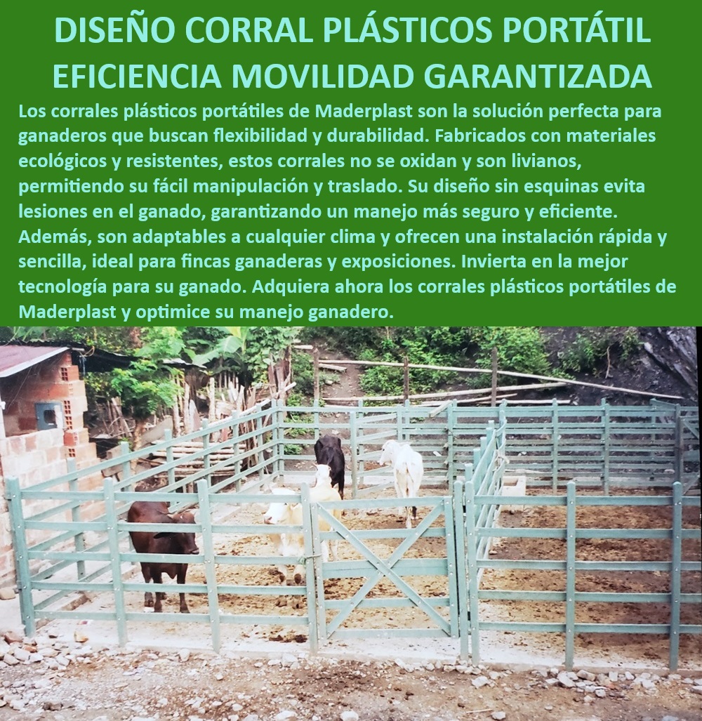 Corrales fáciles de instalar Corral plástico ecológico Maderplast Corrales portátiles para ganadería, - Corral adaptable a cualquier clima, - Corral portátil ideal para fincas y ferias, - Corral plástico resistente a la intemperie, - Corral modular adaptable para fincas, - ¿Qué corral es más seguro para evitar robos en fincas ganaderas?, - Corral plástico portátil para ganado, - Corral para manejo eficiente de ganado, - ¿Cómo puedo instalar un corral ganadero de manera rápida y sencilla?, - ¿Qué corral portátil es ideal para el manejo eficiente del ganado?, - Corral plástico con garantía de durabilidad, - Corrales ligeros y resistentes para fincas, - Corral anti robo para fincas, - Corral sin esquinas para seguridad animal, - Corrales ecológicos para ganadería, - Corral para mejorar productividad ganadera, - Corral ganadero de diseño seguro, - Corral de fácil manejo y transporte, - Corral de instalación sencilla para ganaderías, - Corral ganadero para exposiciones, - Corral ganadero de fácil transporte, - Corral portátil de bajo mantenimiento, - Corral para manejo seguro de ganado, - ¿Qué tipo de corral ganadero se adapta mejor a cualquier clima?, - Corral portátil con instalación rápida, - Corrales plásticos de fácil instalación, - Corral ecológico para manejo de ganado, - ¿Cuál es el mejor corral plástico portátil para ganado?, - Corrales plásticos con alta durabilidad, - Corrales plásticos con protección UV 0 Corral plástico Corral anti robo Corral adaptable a cualquier clima Corral para fincas ganaderas Corrales para manejo eficiente de ganado Corral de madera 0 Corrales fáciles de instalar Corral plástico ecológico Maderplast 0 Corral plástico , Corral anti robo , Corral adaptable a cualquier clima , Corral para fincas ganaderas , Corrales para manejo eficiente de ganado , Corral de madera 0