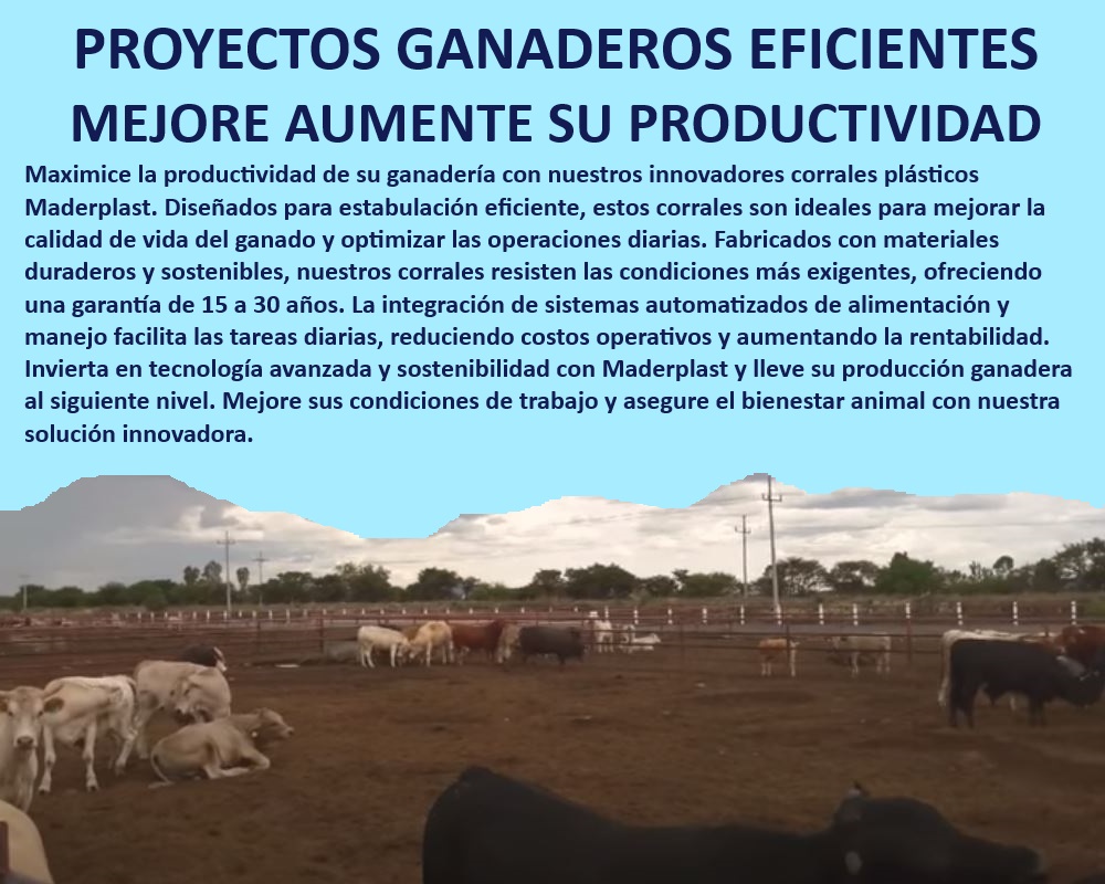 Corrales tecnificados estabulación Establos bovinos confinados Corrales Maderplast Sistemas avanzados de manejo para ganadería intensiva, - Soluciones ganaderas duraderas y rentables, - ¿Qué corrales ofrecen la mayor durabilidad para ganado bovino?, - Innovación en estabulación ganadera tecnificada, - ¿Cuál es la opción más eficiente para mejorar la productividad ganadera?, - ¿Cómo integrar tecnología avanzada en mis proyectos ganaderos?, - Sistemas avanzados de estabulación para ganadería tecnificada, - Corrales sostenibles para bienestar animal garantizado, - Establos de alta resistencia y bajo mantenimiento, - Soluciones de estabulación con tecnología avanzada, - Corrales sostenibles para maximizar la productividad ganadera, - Estabulación eficiente con reducción de costos operativos, - Innovación en diseño de corrales para proyectos ganaderos, - Corrales plásticos para manejo ganadero profesional, - Establos ganaderos con garantía de 15 a 30 años, - Sistemas de manejo ganadero con integración automatizada, - Innovación en corrales para ganaderías de alto rendimiento, - Proyectos ganaderos con corrales tecnificados Maderplast, - Corrales ganaderos duraderos para proyectos intensivos, - Estabulación eficiente con corrales de alta durabilidad, - ¿Cuál es la mejor solución para estabulación ganadera automatizada?, - Corrales con sistemas automatizados de alimentación y manejo, - Mejora de la productividad ganadera con corrales tecnificados, - ¿Cómo mejorar la rentabilidad de mi ganadería con corrales tecnificados?, - Diseño de corrales automatizados para ganado bovino, - Proyectos ganaderos llave en mano con Maderplast, - Corrales plásticos de alta calidad para estabulación ganadera, - Corrales de alta durabilidad con enfoque en sostenibilidad, - Tecnología en estabulación ganadera con corrales Maderplast, - Optimización de operaciones ganaderas con corrales Maderplast0 DISEÑO CORRALES Establos automatizados ganado Innovación en estabulación ganadera Sistemas de estabulación avanzados Sistemas de manejo 0 Corrales tecnificados estabulación Establos bovinos confinados Corrales Maderplast 0 DISEÑO CORRALES, , Establos automatizados ganado, , Innovación en estabulación ganadera, , Sistemas de estabulación avanzados, , Sistemas de manejo 0