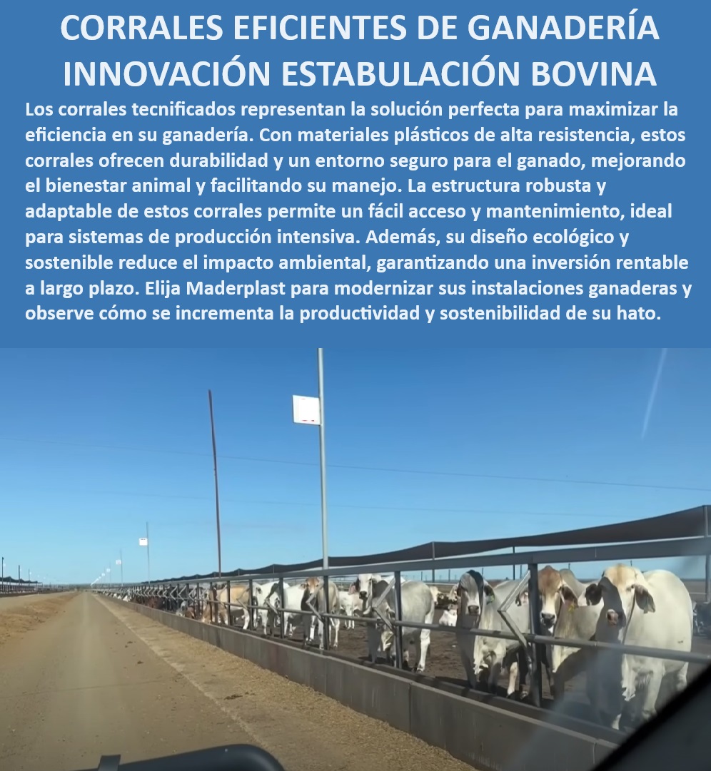 Corrales tecnificados estabulación Establos bovinos confinados Corrales Maderplast Diseño profesional de corrales para manejo eficiente de ganado, - Corrales especializados en estabulación de ganado de engorde, - ¿Qué tipo de corral es más eficiente para ganadería intensiva?, - Corrales para ganado con sistemas ecológicos y sostenibles, - Diseño y fabricación de corrales ganaderos llave en mano, - Establos modulares para proyectos de ganadería tecnificada, - Innovación en diseño de corrales para ganaderías sostenibles, - Tecnología de estabulación bovina con enfoque en bienestar animal, - Instalaciones ganaderas de fácil acceso y bajo mantenimiento, - Corrales ganaderos de larga vida útil y alta calidad, - Corrales bovinos con alto rendimiento en producción ganadera, - Corrales de plástico resistentes para uso ganadero intensivo, - Diseño de corrales con materiales innovadores para ganado, - Establos bovinos de alta durabilidad y resistencia, - Soluciones completas en estabulación ganadera profesional, - Materiales plásticos para corrales de bajo mantenimiento, - Corrales ecológicos que maximizan la productividad bovina, - Soluciones de estabulación para ganaderías intensivas modernas, - Establos ganaderos con alta resistencia y seguridad, - Establos personalizados para optimización de manejo bovino, - Sistema de estabulación bovina tecnificada para producción intensiva, - Corrales sostenibles con reducción de impacto ambiental, - Corrales ganaderos tecnificados para estabulación eficiente, - Corrales robustos y adaptables para manejo ganadero profesional, - ¿Cuál es el mejor corral para manejo de ganado estabulado?, - ¿Qué corral ofrece la mayor durabilidad y seguridad para bovinos?, - Corrales para ganado con garantía de durabilidad extendida, - ¿Cuál es la opción más sostenible para estabulación de ganado?, - Estructura ganadera avanzada para estabulación eficiente, - ¿Cómo mejorar la productividad con corrales tecnificados? 0 MEJOR CORRAL Establos ganaderos Diseños de corrales establos Materiales innovadores para establos de ganado de engorde Establos con sistema  Corrales tecnificados estabulación Establos bovinos confinados Corrales Maderplast 0 MEJOR CORRAL, , Establos ganaderos, , Diseños de corrales establos, , Materiales innovadores para establos de ganado de engorde, Establos con sistema