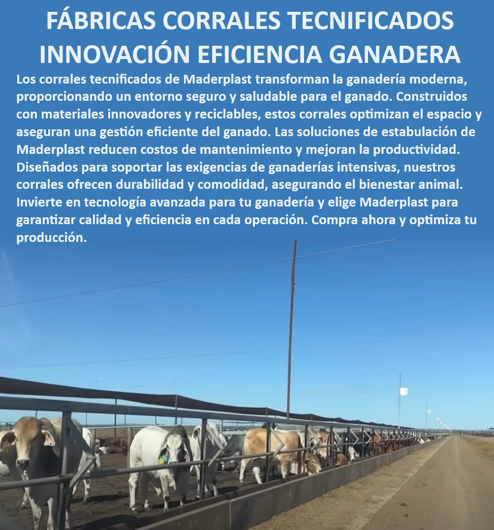 Corrales tecnificados estabulación Establos bovinos confinados Corrales Maderplast Corrales de manejo bovino - reducción de costos, - ¿Qué corrales tecnificados son los más eficientes para estabulación?, - Estabulación ganadera moderna - tecnología avanzada, - Soluciones para ganadería intensiva - control eficiente, - Corrales para vacas de leche - durabilidad superior, - Soluciones de estabulación - ganadería moderna, - Corrales reciclables - sostenibilidad en ganadería, - Establos para vacas de leche - gestión eficiente, - Corrales de manejo ganadero - eficiencia garantizada, - Corrales de engorde bovino - materiales innovadores, - Establos para ganado confinado - productividad mejorada, - Corrales para ganado - materiales reciclables duraderos, - Corrales confinamiento bovino - innovación en ganadería, - Corrales de estabulación - reducción de mantenimientos, - Establos bovinos modernos - manejo seguro del ganado, - Establos de confinamiento bovino - alta productividad, - ¿Cuáles son los beneficios de los corrales reciclables en ganadería?, - ¿Cuál es la solución más moderna para estabulación de ganado?, - Corrales ganaderos modernos - bienestar animal asegurado, - Corrales tecnificados ganaderos - estabulación eficiente, - Corrales para ganado estabulado - soluciones eficientes, - Corrales establos de engorde - durabilidad comprobada, - ¿Cómo optimizar la productividad en establos bovinos?, - Establos de confinamiento - tecnología para ganadería, - Corrales reciclables ganaderos - innovación tecnológica, - Corrales para vacas lecheras - manejo avanzado, - Corrales para ganado intensivo - máxima eficiencia, - ¿Qué corrales son mejores para manejo intensivo de ganado?, - Estabulación tecnificada - optimización del espacio, - Establos avanzados para bovinos - bienestar animal 0 MEJOR CORRAL Materiales innovadores para establos de ganado de engorde Corrales vacas lecheras Manejo bovino Establos modernos Corrales Corrales tecnificados estabulación Establos bovinos confinados Corrales Maderplast 0 MEJOR CORRAL, , Materiales innovadores para establos de ganado de engorde, , Corrales vacas lecheras, , Manejo bovino, , Establos modernos , Corrales