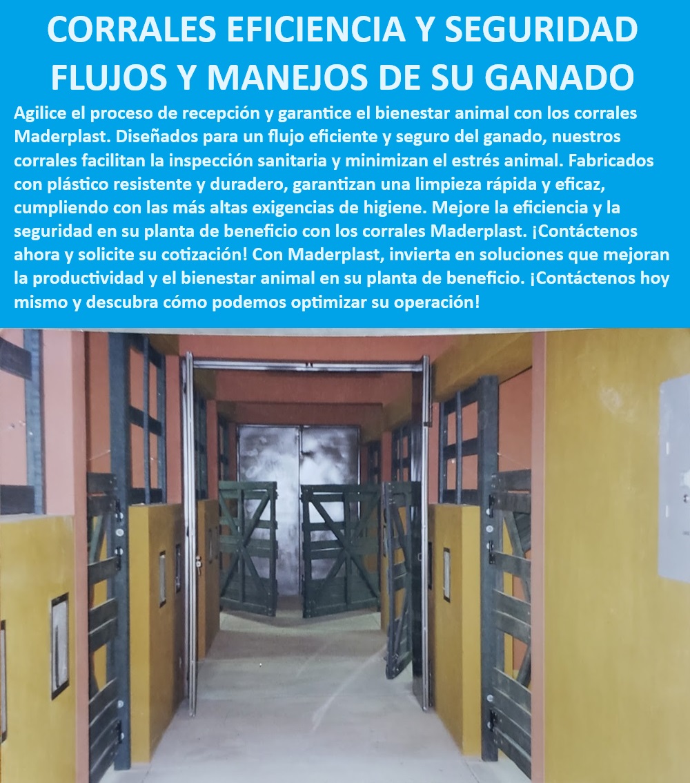 Diseño Corrales sanitarios para bovinos fácil limpieza corral cuarentena Maderplast Corrales ganaderos sanitarios, - ¿Cómo optimizar el manejo del ganado en plantas frigoríficas?, - Corrales de cuarentena duraderos, - Corrales con estructura modular, - Corrales plásticos duraderos, - Corrales de manejo eficiente, - Corrales de bajo mantenimiento, - Corrales modulares personalizables, - ¿Qué corrales son ideales para cuarentena de ganado?, - Corrales de manejo seguro para ganado, - Corrales resistentes a condiciones extremas, - Corrales ganaderos con protección UV, - Corrales de recibo para mataderos, - Corrales para plantas frigoríficas, - Corrales higiénicos de fácil limpieza, - Corrales de inspección sanitaria, - Corrales con diseño higiénico, - Corrales profesionales para plantas de beneficio, - Corrales para bienestar animal, - Corrales de alta resistencia para ganado, - Corrales de alta eficiencia para bovinos, - Corrales sanitarios para bovinos, - Corrales modulares de Maderplast, - Corrales robustos para manejo de ganado, - Corrales de fácil instalación y limpieza, - ¿Cuál es el mejor corral para plantas de beneficio animal?, - ¿Dónde comprar corrales sanitarios para bovinos?, - ¿Qué corrales son más higiénicos y fáciles de limpiar?, - Corrales resistentes a la intemperie, - Corrales profesionales para ganado 0 Corrales de recibo de ganado para mataderos corrales para empresas frigoríficas Planta de beneficio animal diseñada con materiales duraderos 0 Diseño Corrales sanitarios para bovinos fácil limpieza corral cuarentena Maderplast 0 Corrales de recibo de ganado para mataderos, , corrales para empresas frigoríficas, , Planta de beneficio animal diseñada con materiales duraderos 0